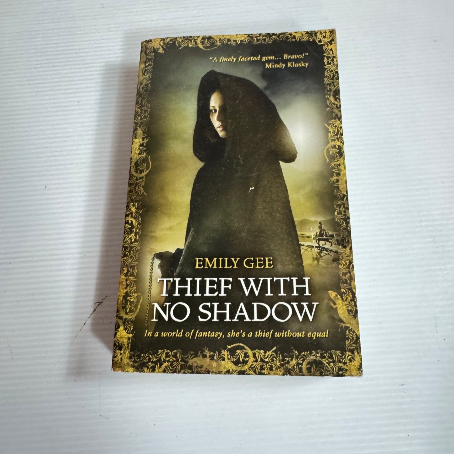 Thief With No Shadow - Emily Gee
