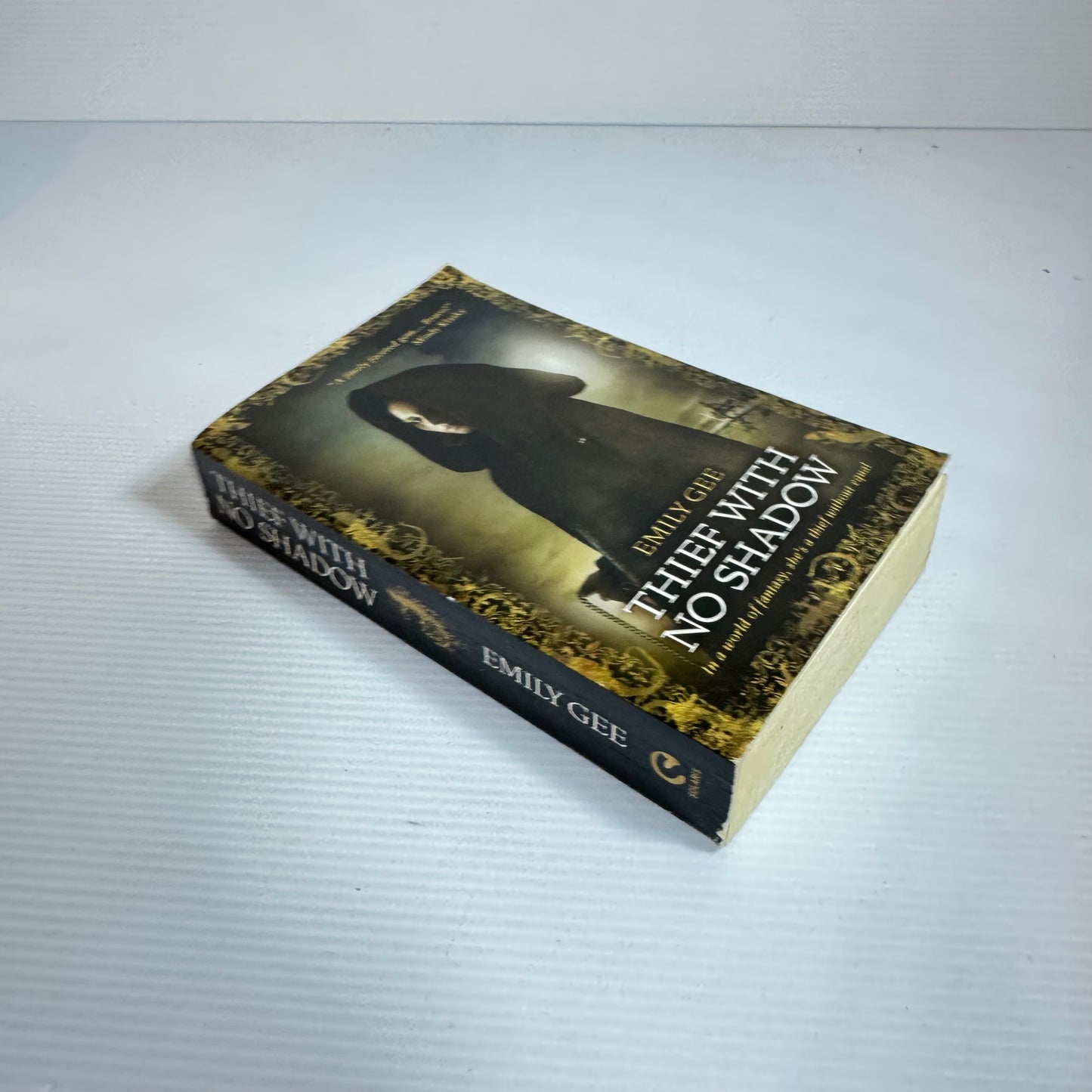 Thief With No Shadow - Emily Gee