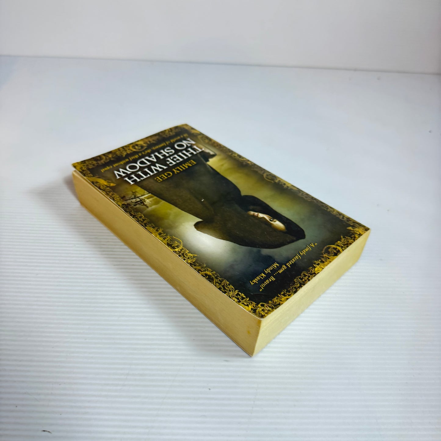 Thief With No Shadow - Emily Gee