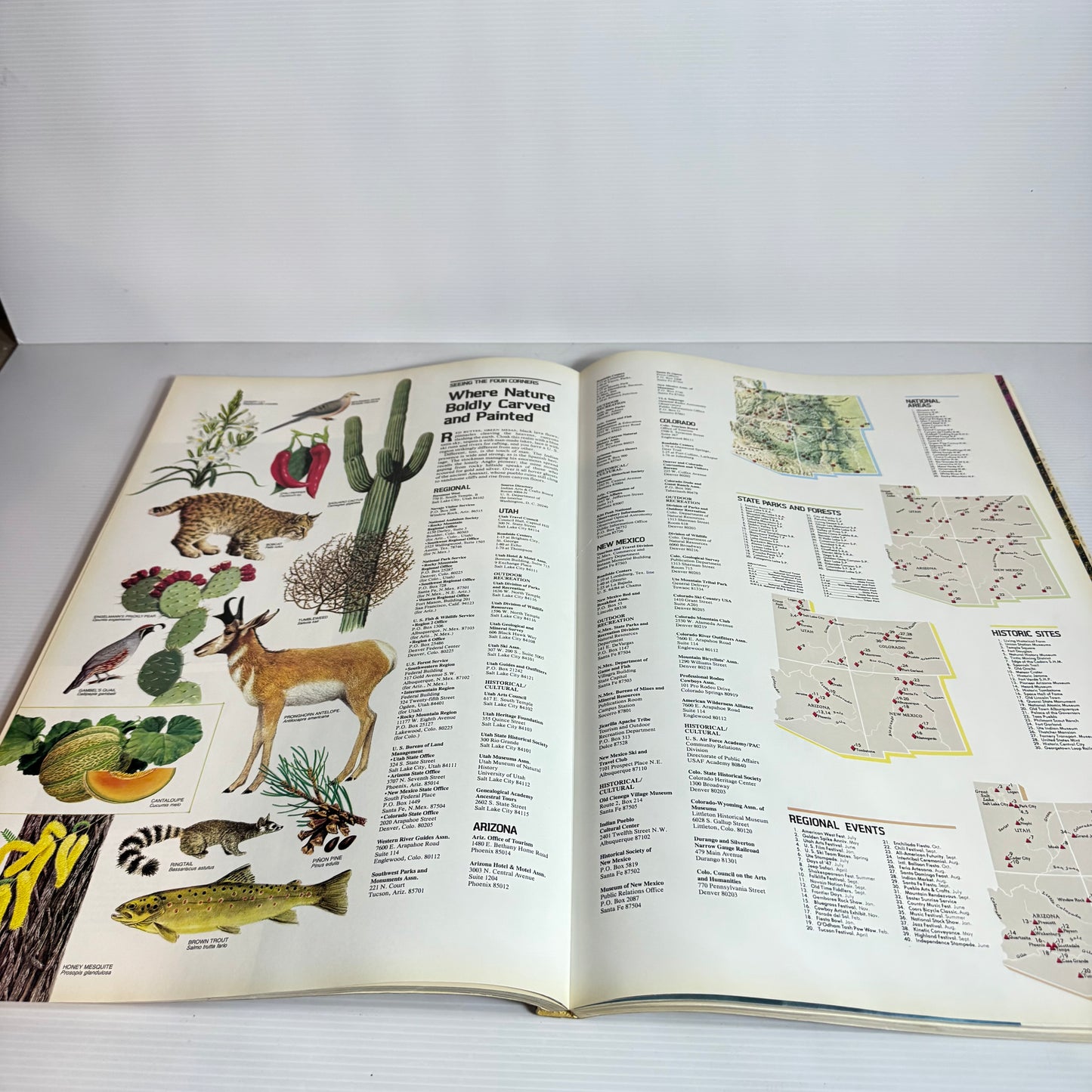 Atlas Of North America : Space Age Portrait of a Continent - National Geographic (Vintage 1985)