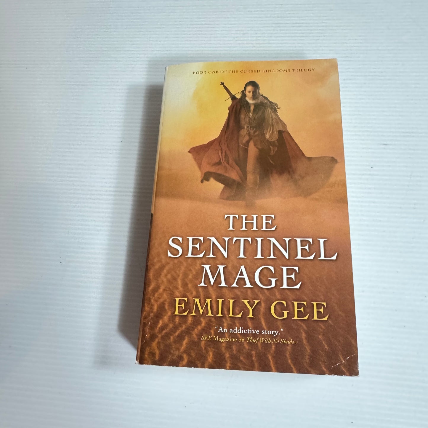 The Sentinel Mage - Emily Gee