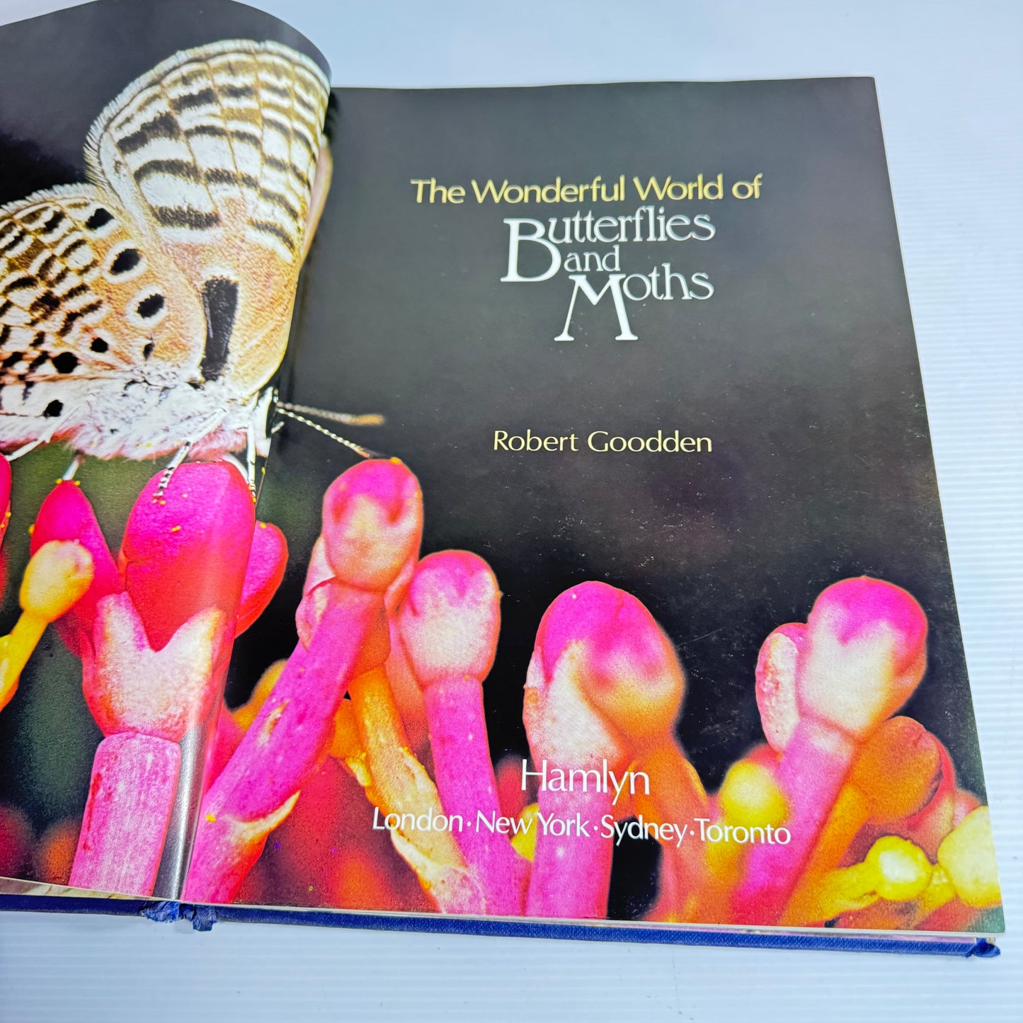 The Wonderful World Of Butterflies And Moths - Hamlyn (Vintage 1977)