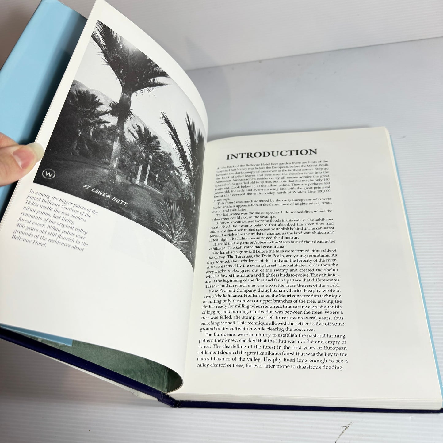 Lower Hutt: The First Garden City - David McGill (Vintage 1991)