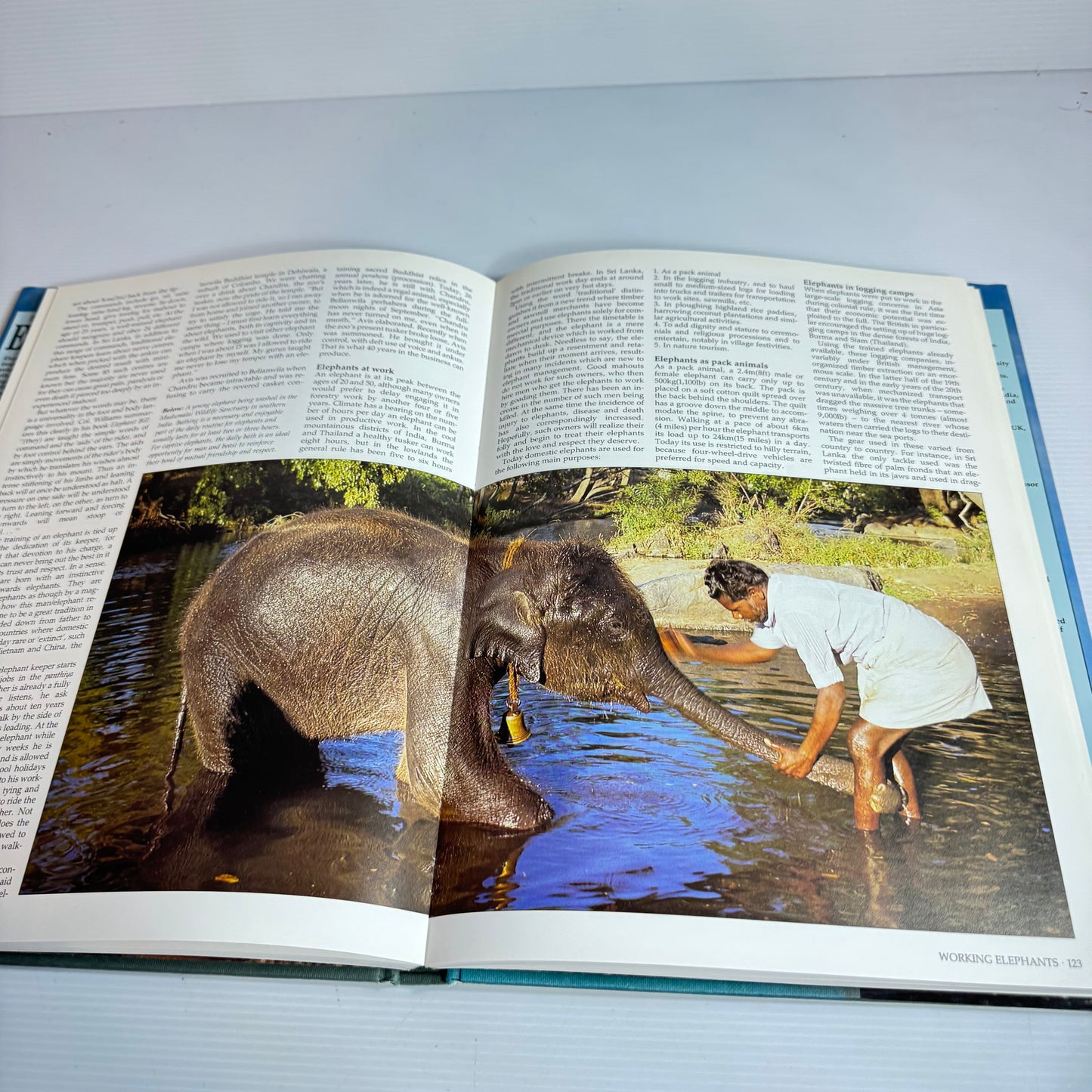 The Illustrated Encyclopedia Of Elephants (Vintage 1977)