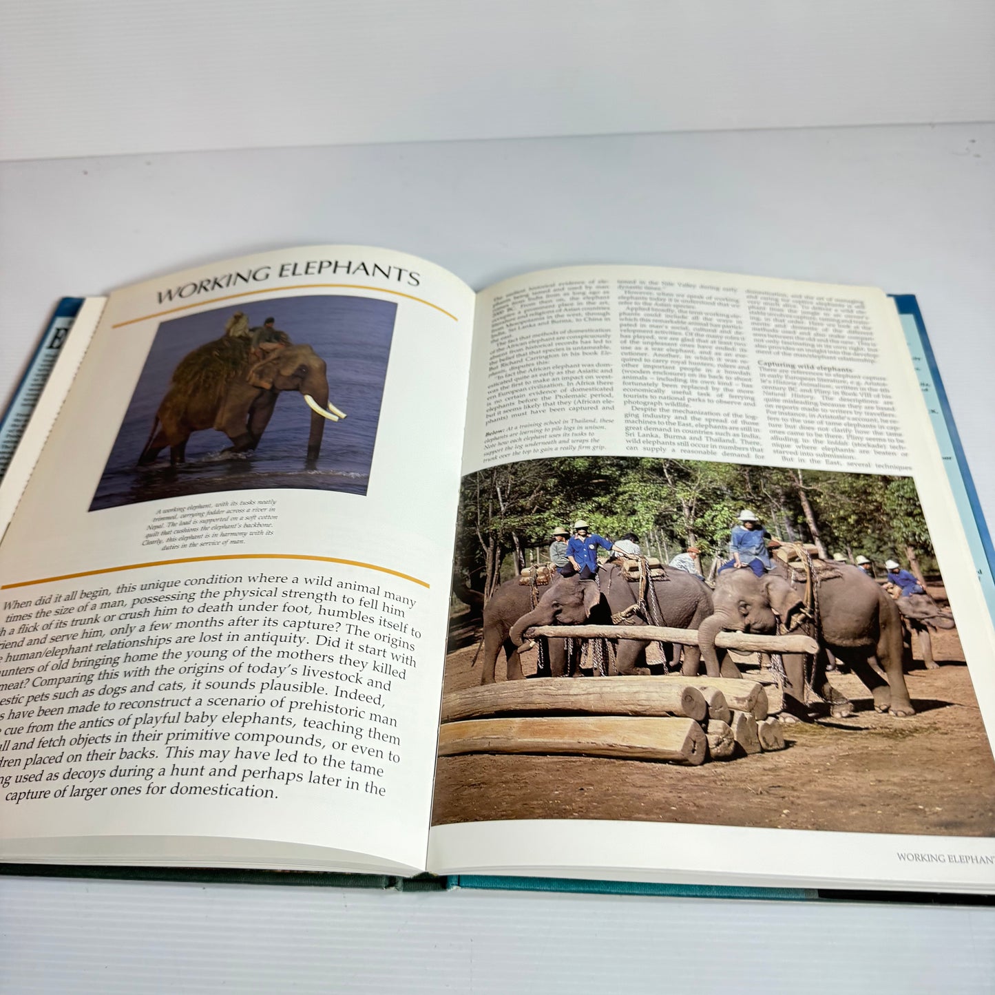 The Illustrated Encyclopedia Of Elephants (Vintage 1977)