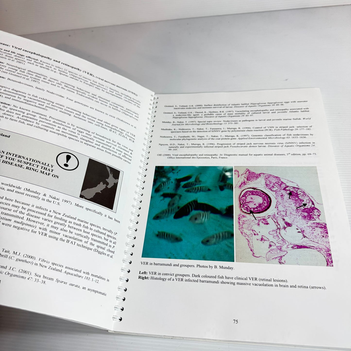 NIWA A Handbook Of Diseases Of Importance To Aquaculture In New Zealand