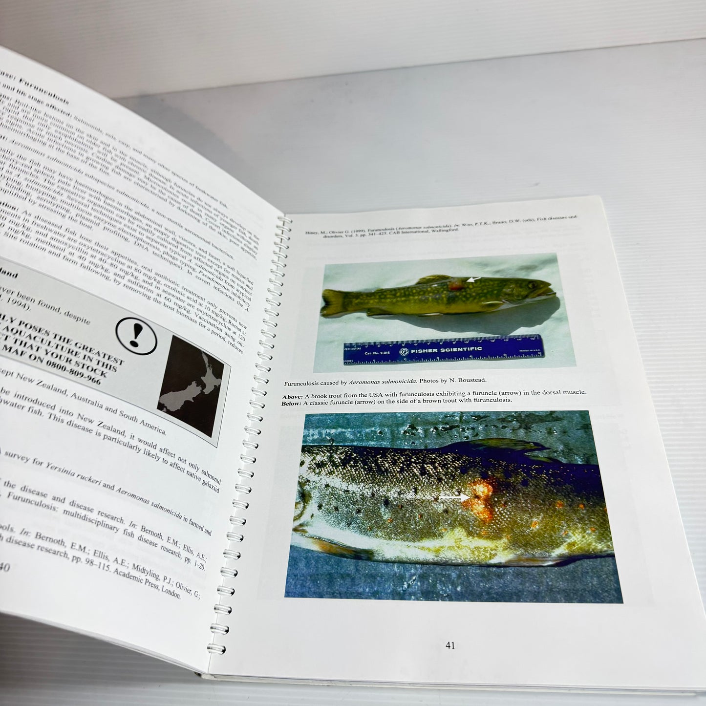 NIWA A Handbook Of Diseases Of Importance To Aquaculture In New Zealand