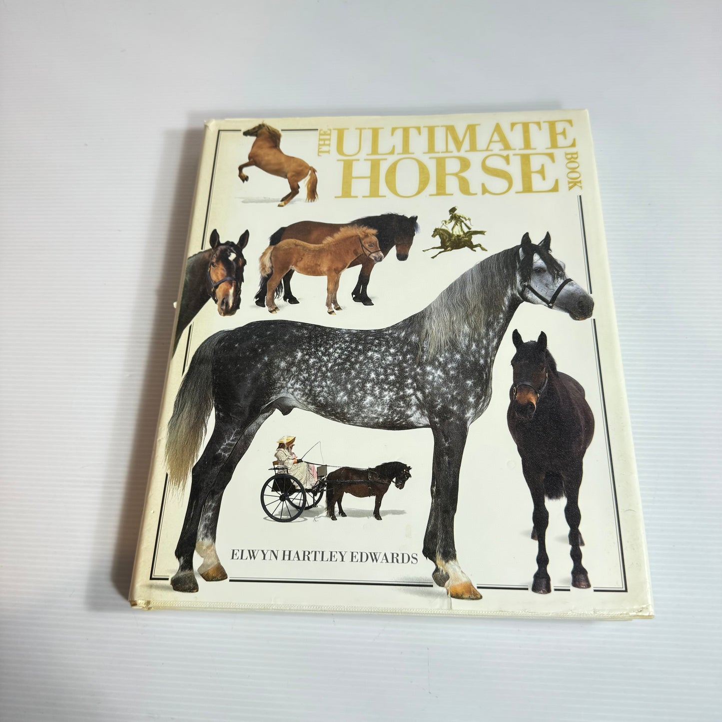 The Ultimate Horse Book - Elwyn Hartley Edwards (Vintage 1991)