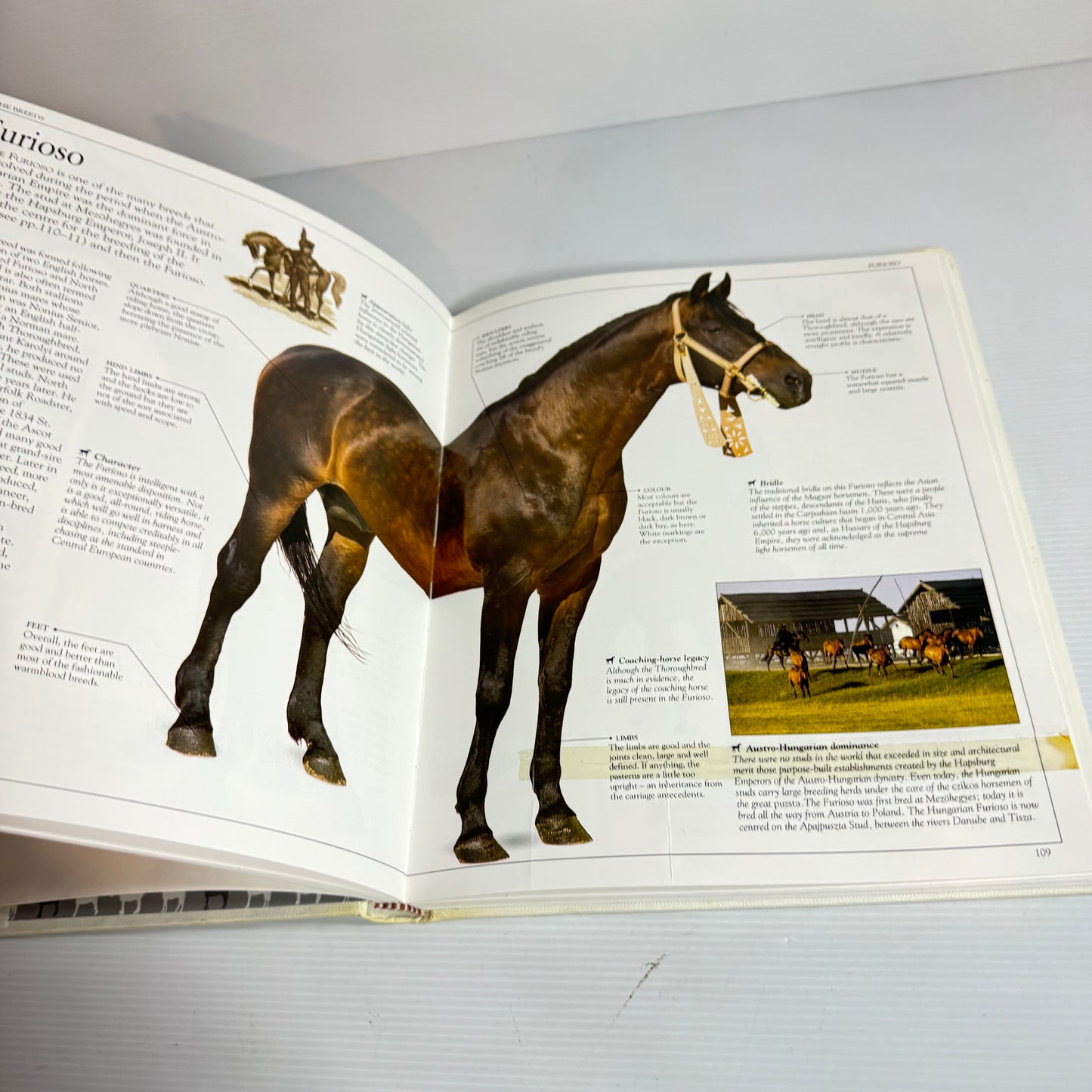 The Ultimate Horse Book - Elwyn Hartley Edwards (Vintage 1991)