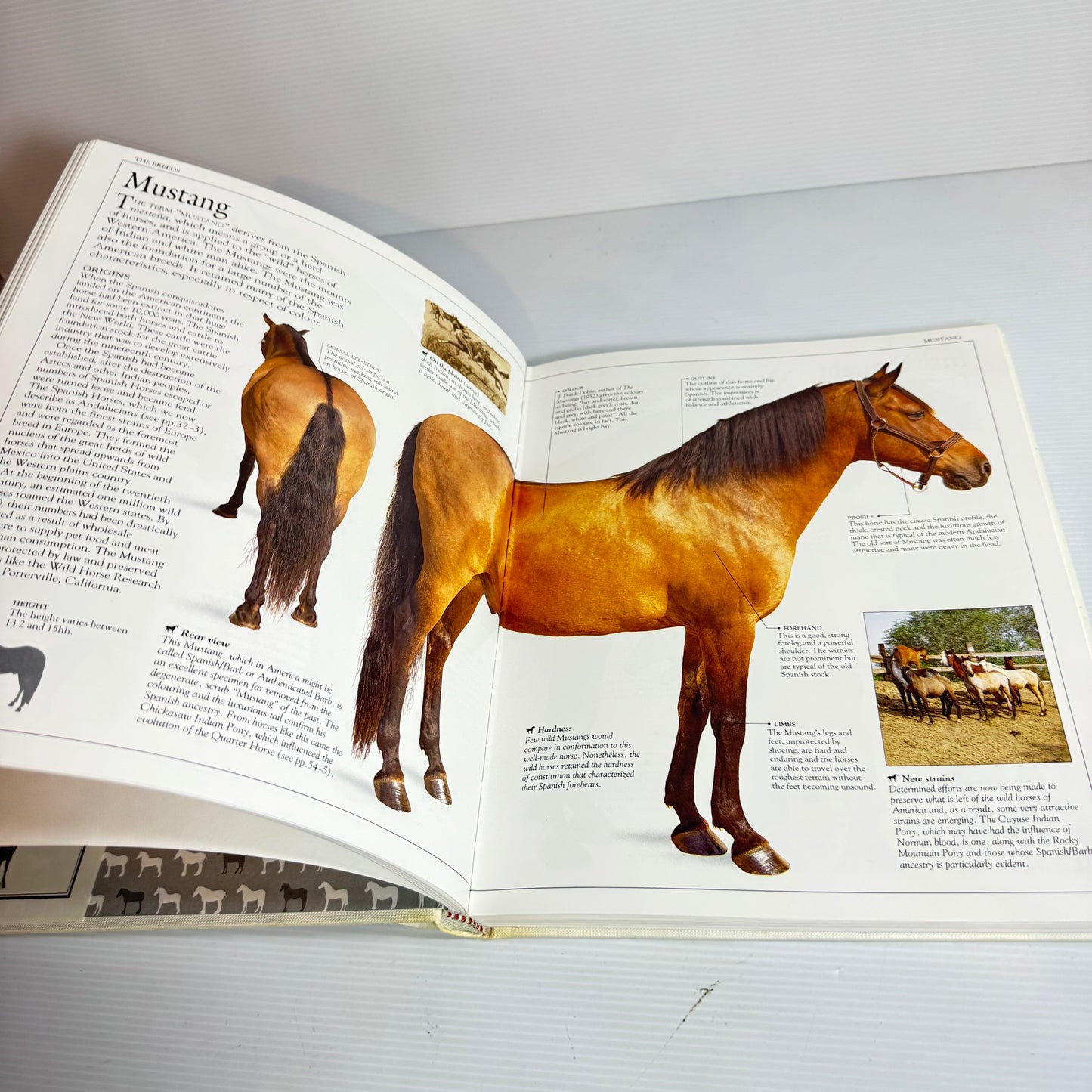 The Ultimate Horse Book - Elwyn Hartley Edwards (Vintage 1991)
