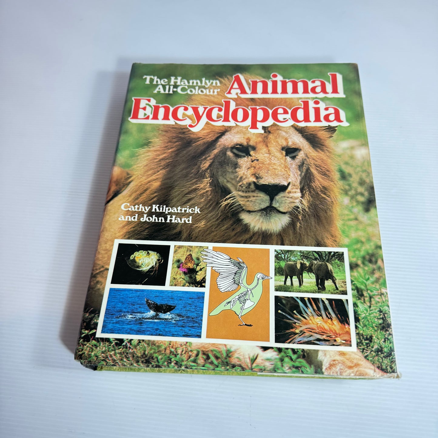The Hamlyn All-Colour Animal Encyclopedia -Cathy Kilpatrick and John Hard (Vintage 1981)