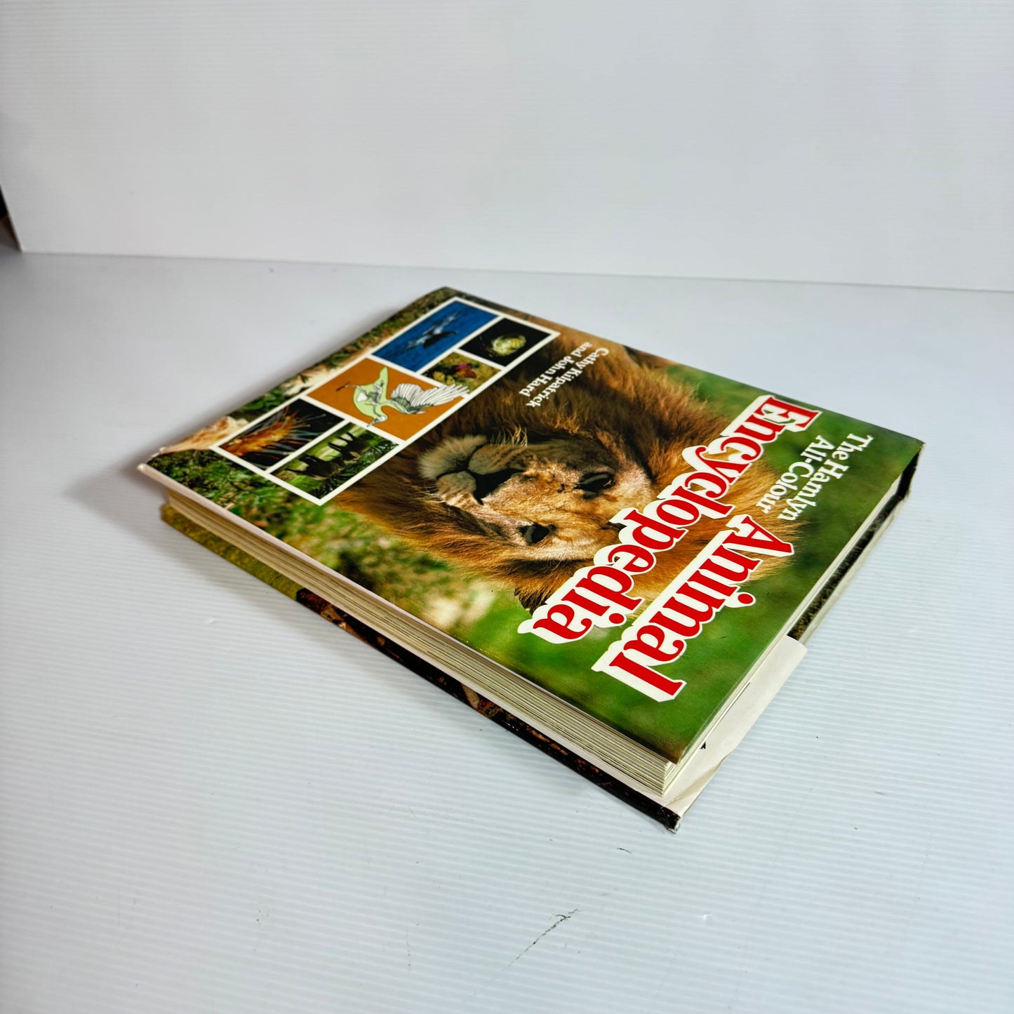 The Hamlyn All-Colour Animal Encyclopedia -Cathy Kilpatrick and John Hard (Vintage 1981)