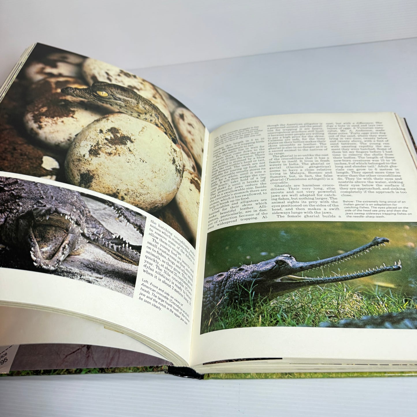 The Hamlyn All-Colour Animal Encyclopedia -Cathy Kilpatrick and John Hard (Vintage 1981)