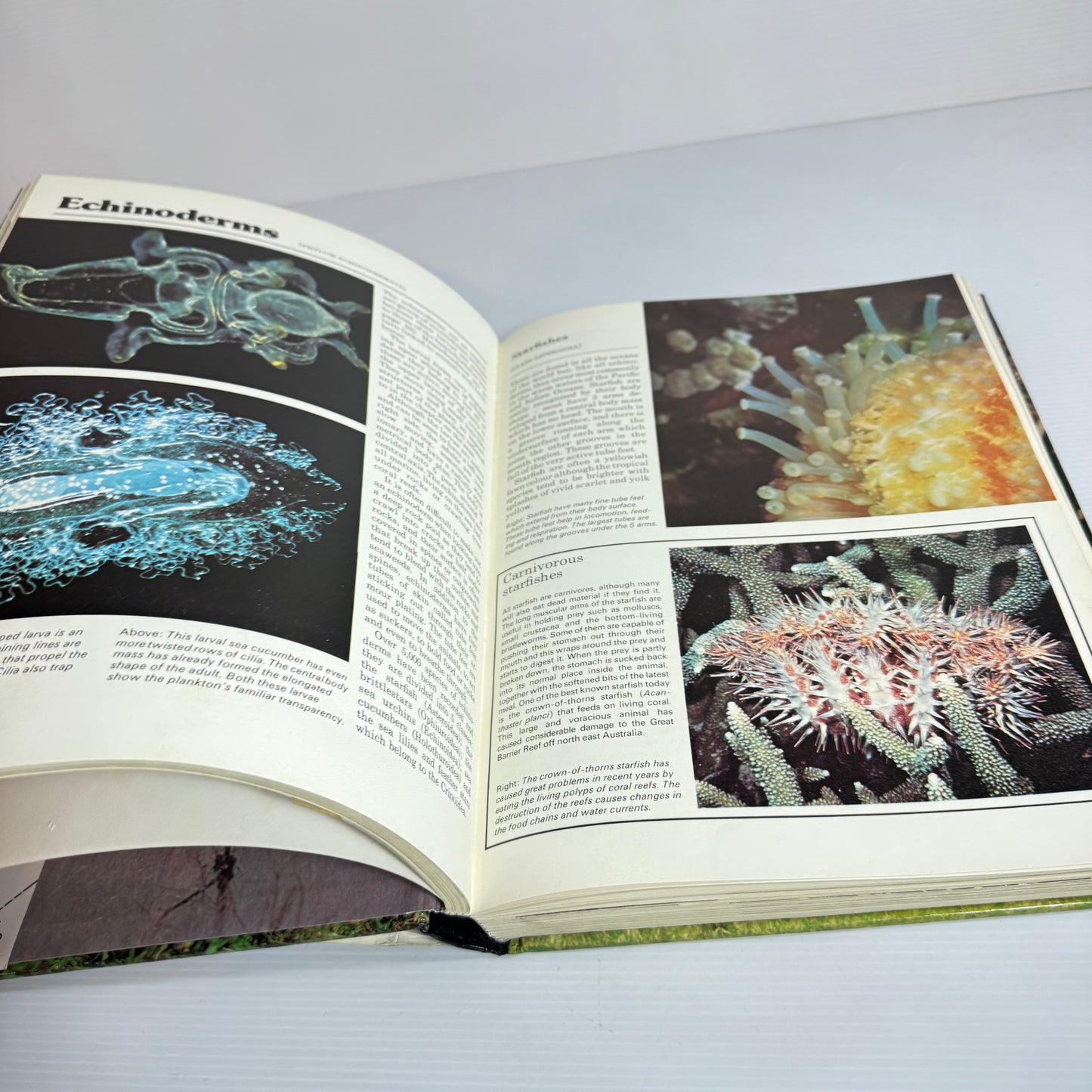 The Hamlyn All-Colour Animal Encyclopedia -Cathy Kilpatrick and John Hard (Vintage 1981)
