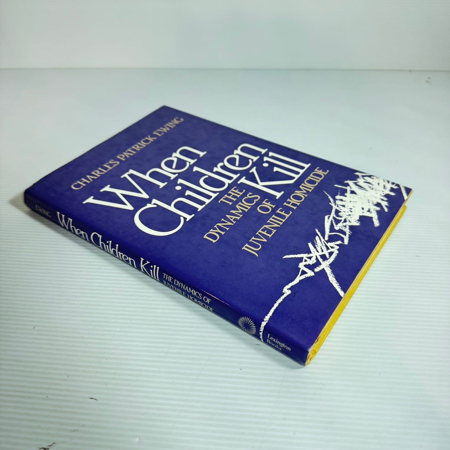 When Children Kill : The Dynamics of Juvenile Homicide - Charles Patrick Ewing