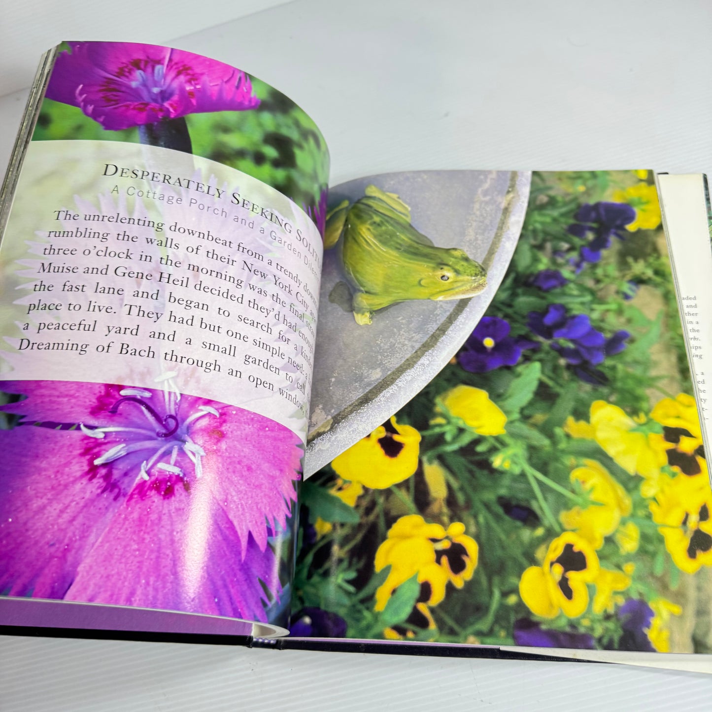 A Ceiling Of Sky : Special Garden Rooms and the People Who Created Them - Pat Ross