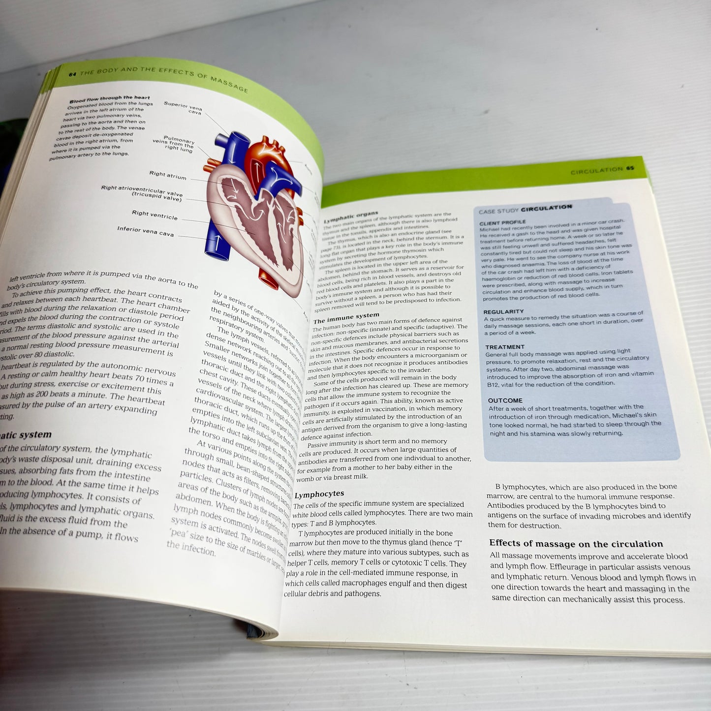 The Complete Massage Tutor : A Structured Course to Achieve Professional Expertise - Wendy Kavanagh