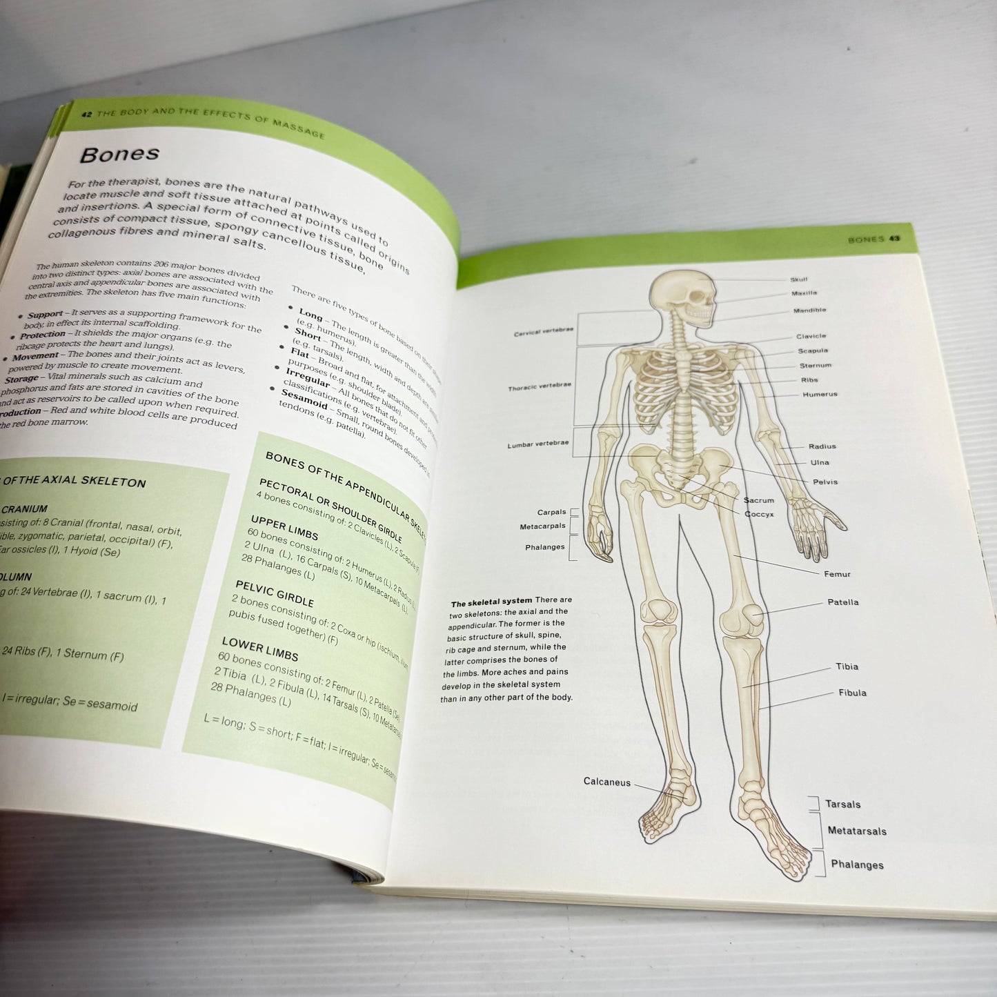 The Complete Massage Tutor : A Structured Course to Achieve Professional Expertise - Wendy Kavanagh