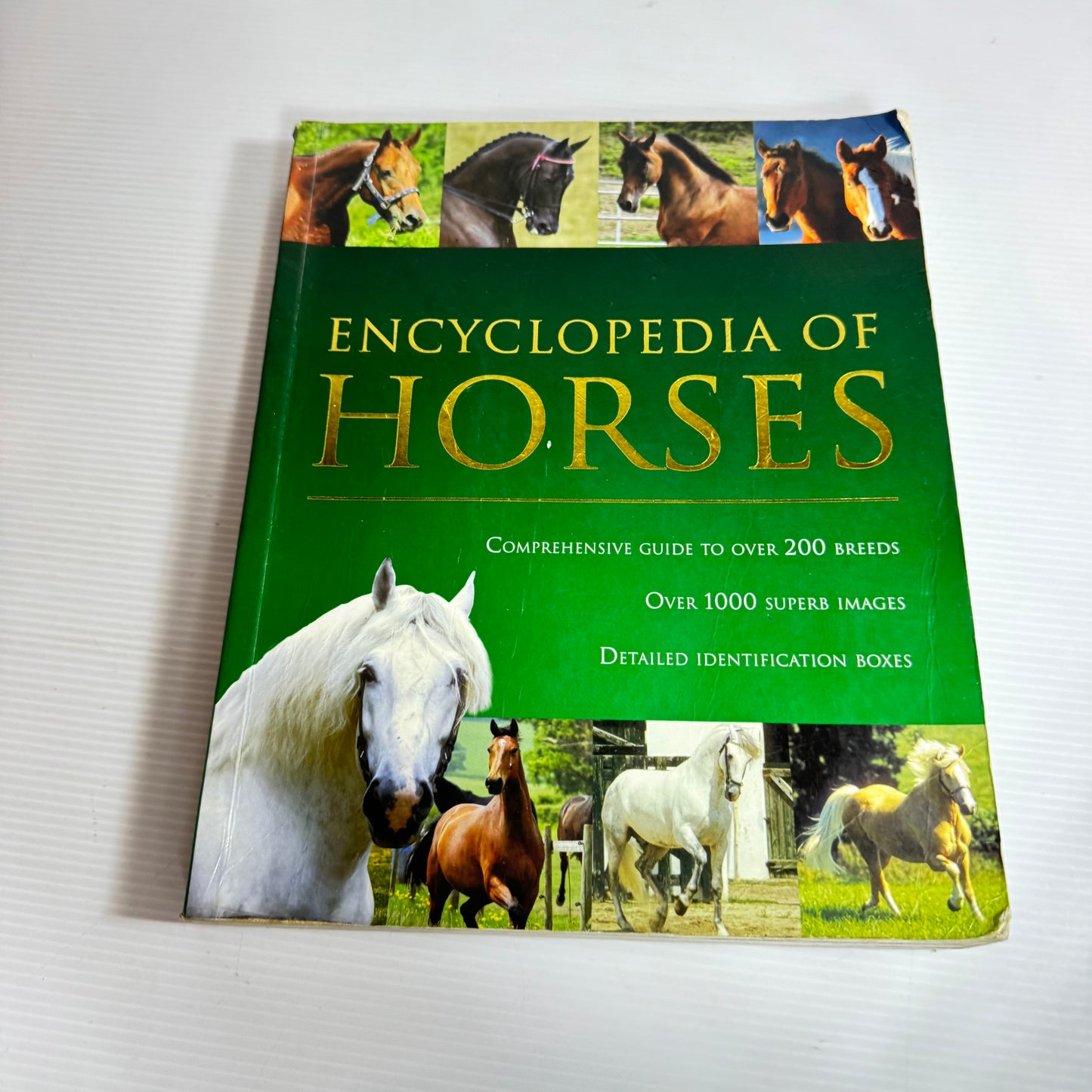 Encyclopaedia Of Horses - Debby Sly