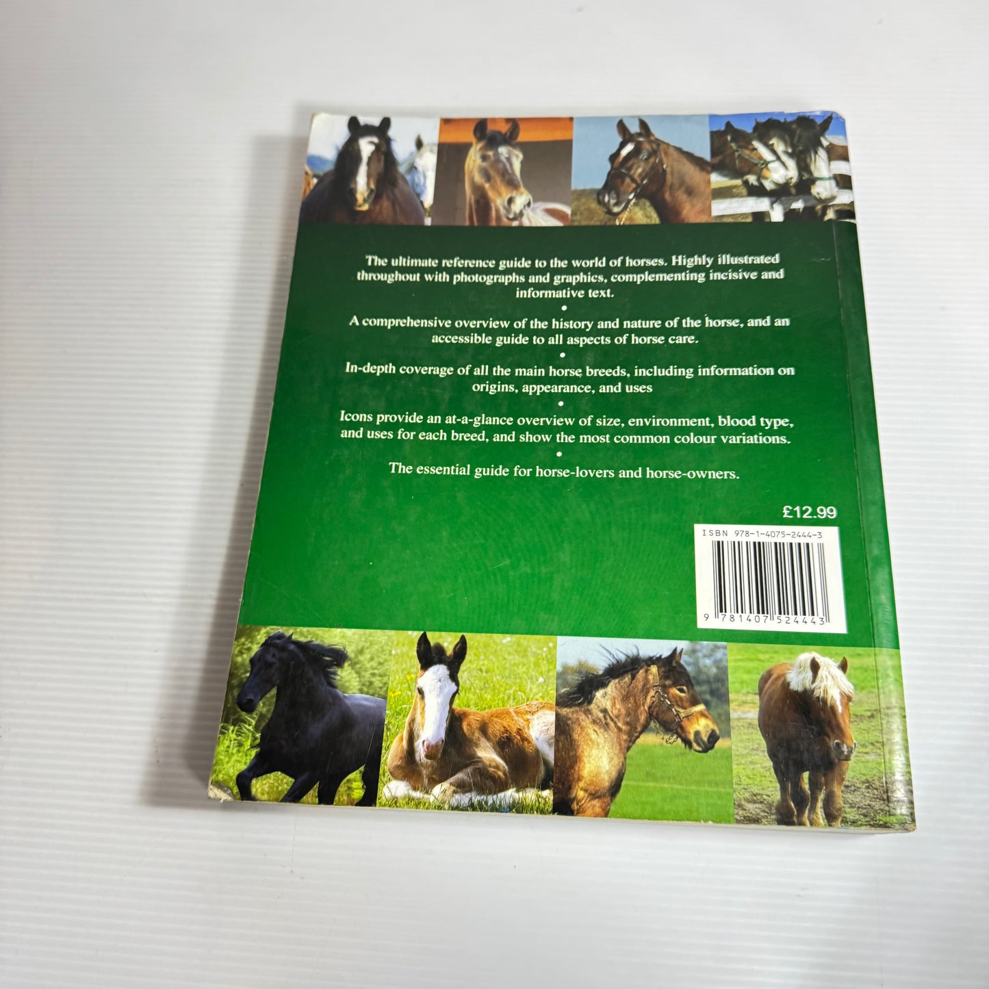 Encyclopaedia Of Horses - Debby Sly