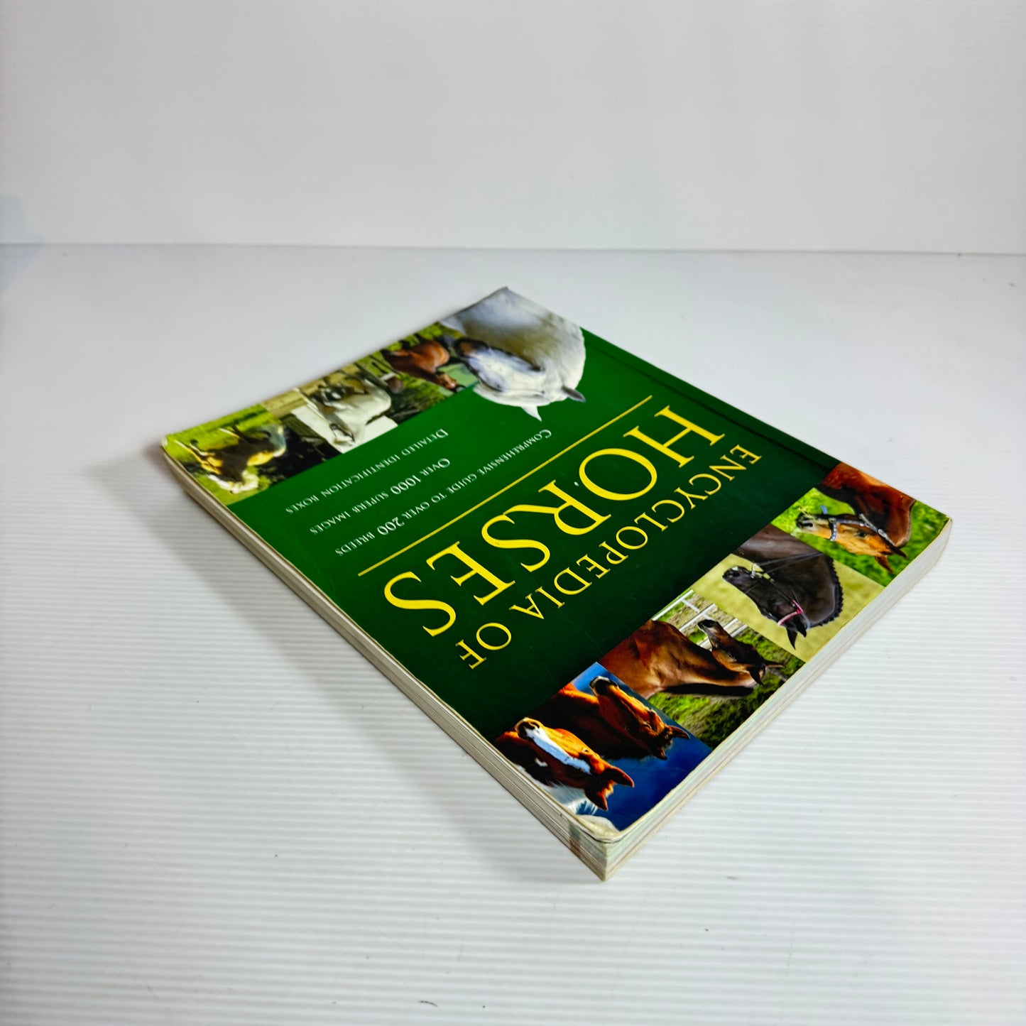 Encyclopaedia Of Horses - Debby Sly