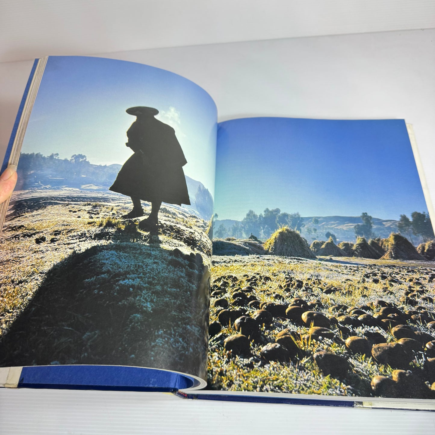 National Geographic People Of The World - Introduction by David Maybury-Lewis Afterword by Wade Davis