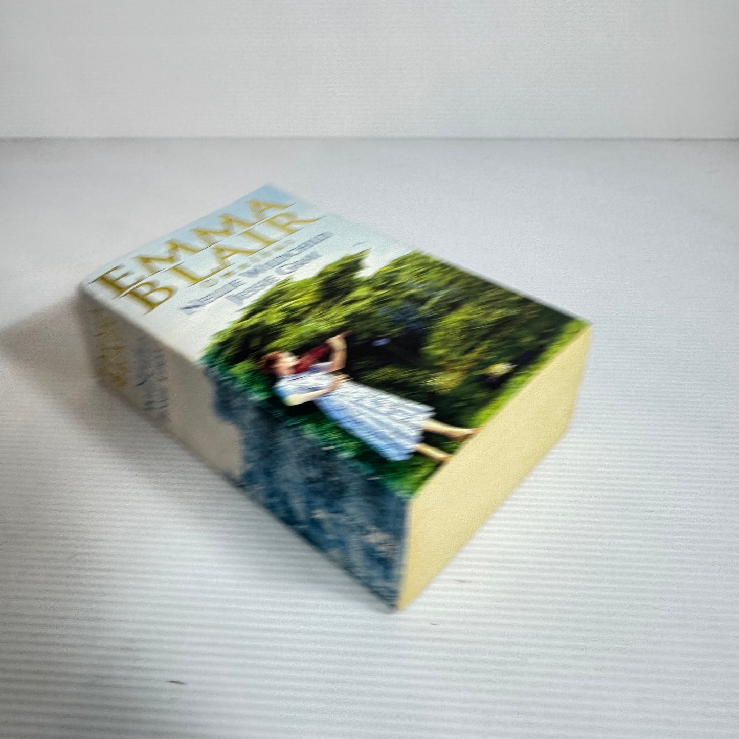 Emma Blair Omnibus (2 books in 1) - Nellie Wildchild & Jessie Grey