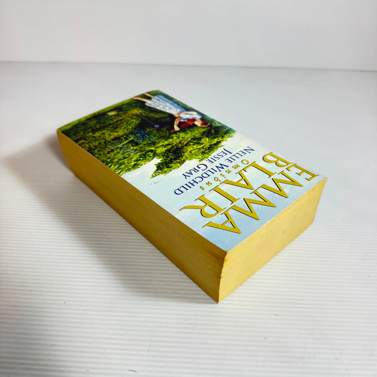 Emma Blair Omnibus (2 books in 1) - Nellie Wildchild & Jessie Grey