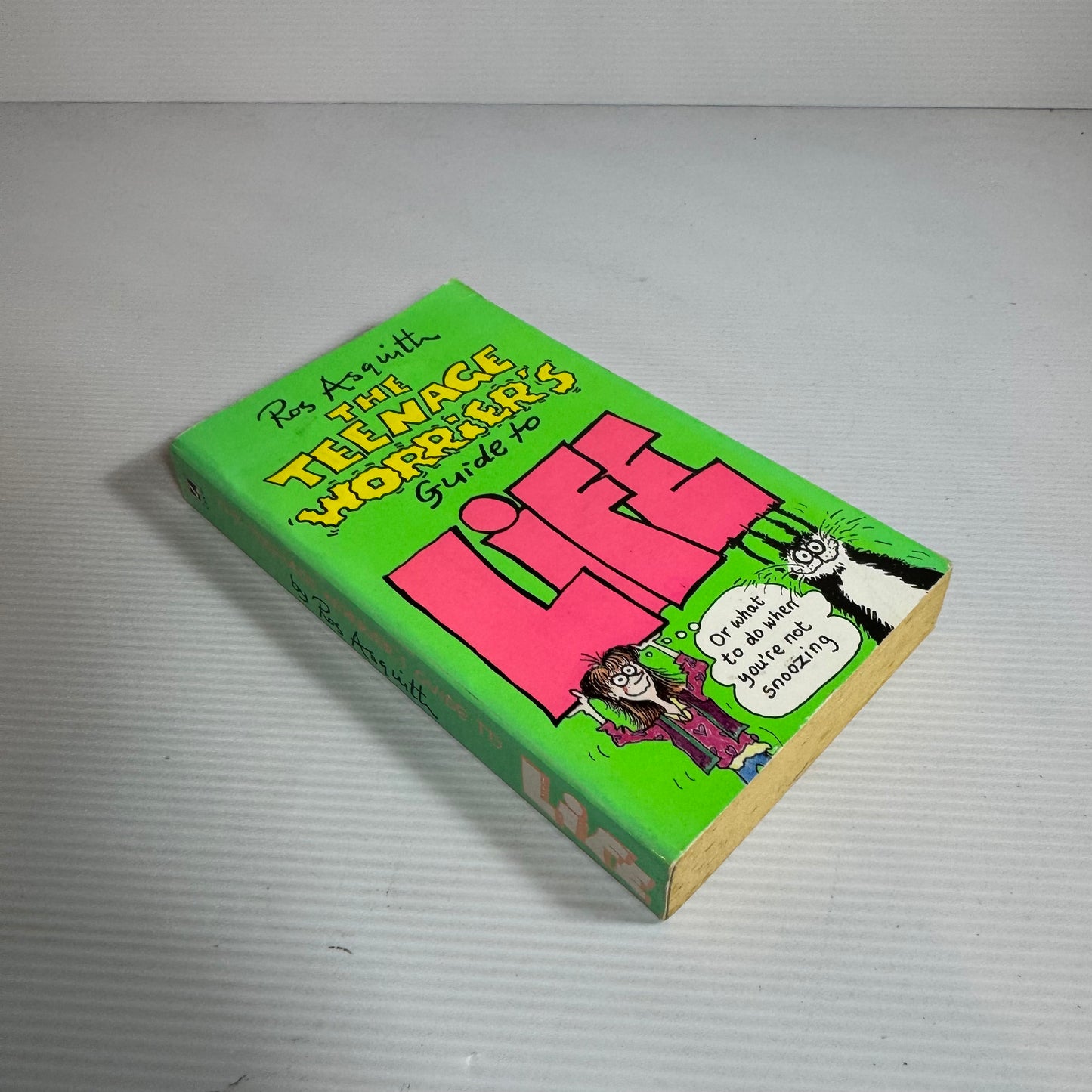 The Teenage Worrier's Guide To Life - Ros Asquith