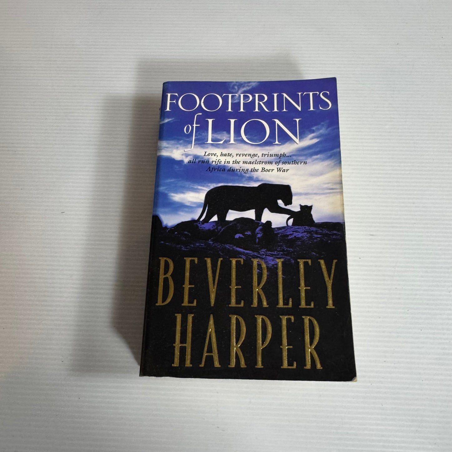 Footprints of Lion - Beverley Harper