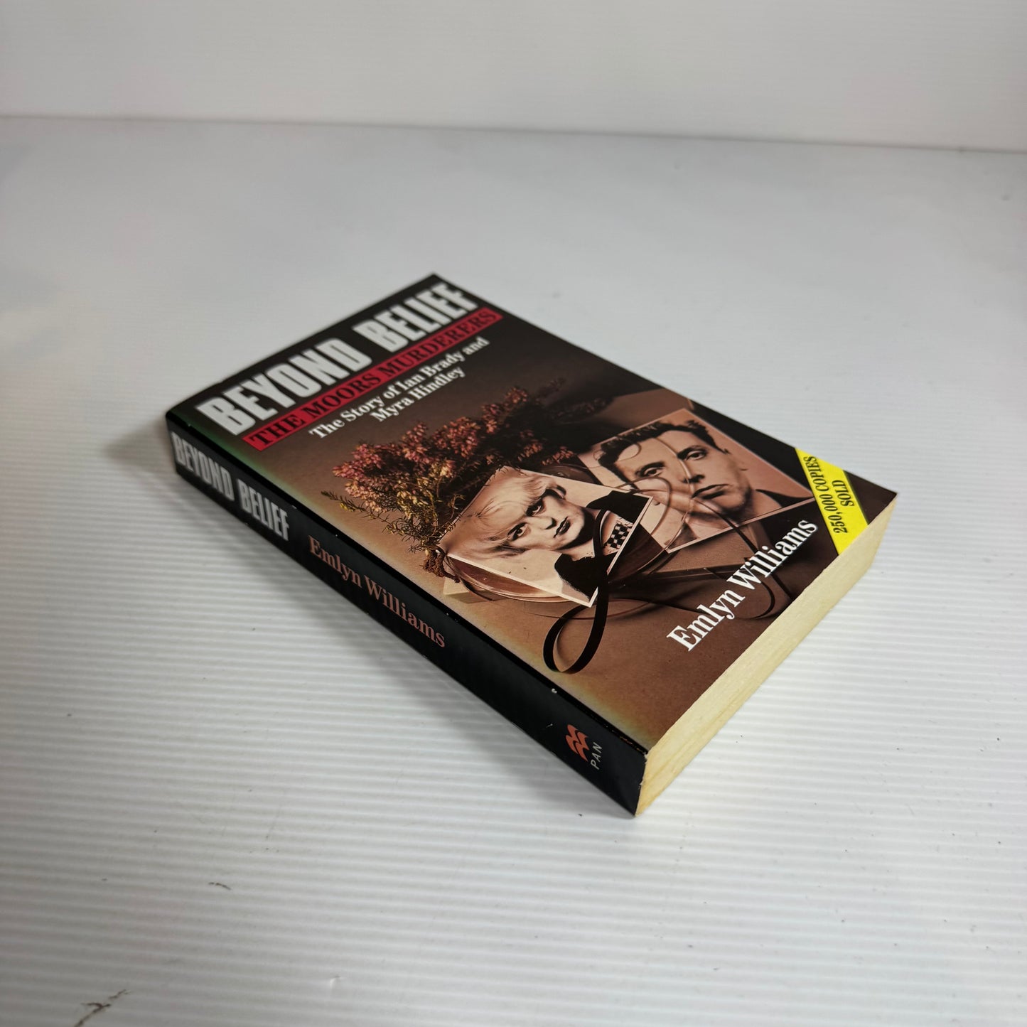 Beyond Belief : The Moors Murderers : The Story of Ian Brady and Myra Hindley - Emlyn Williams