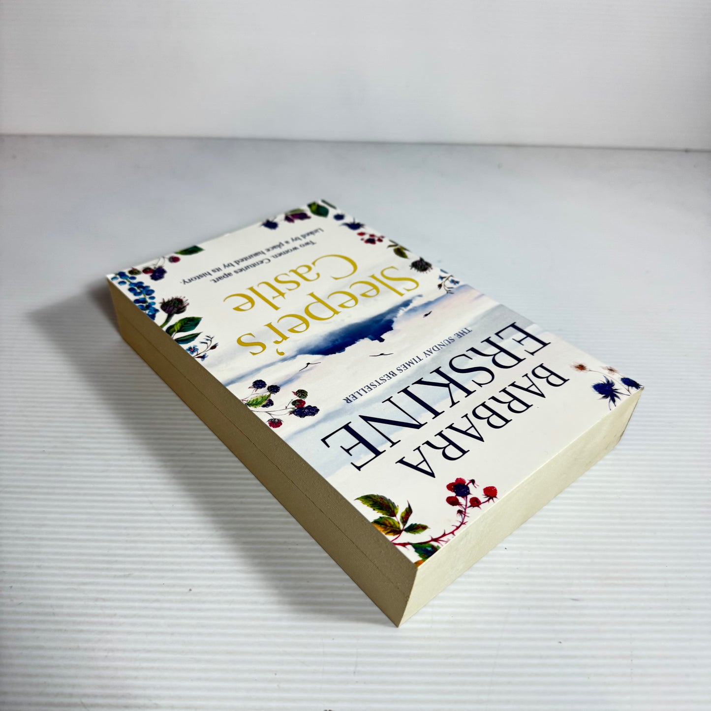 Sleeper's Castle - Barbara Erskine (New)