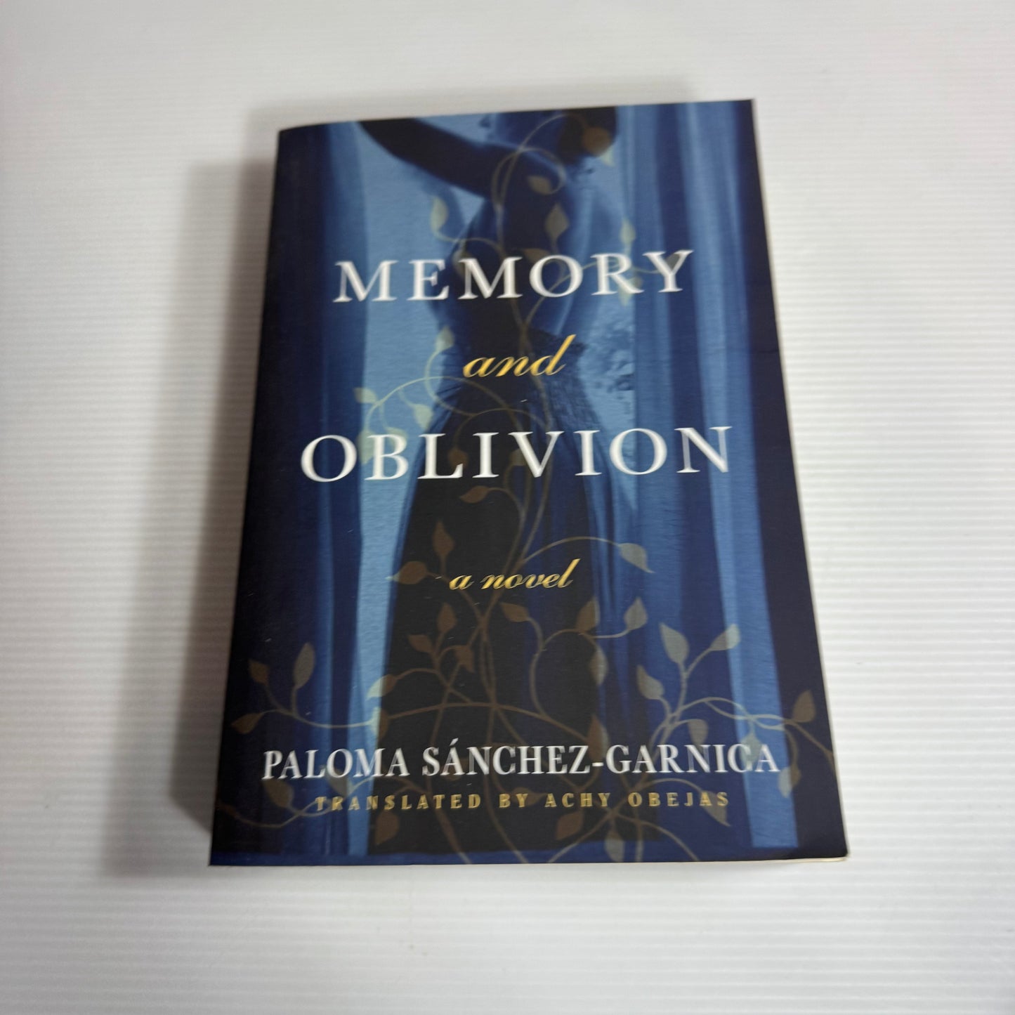 Memory and Oblivion - Paloma Sanchez-Garnica (New)