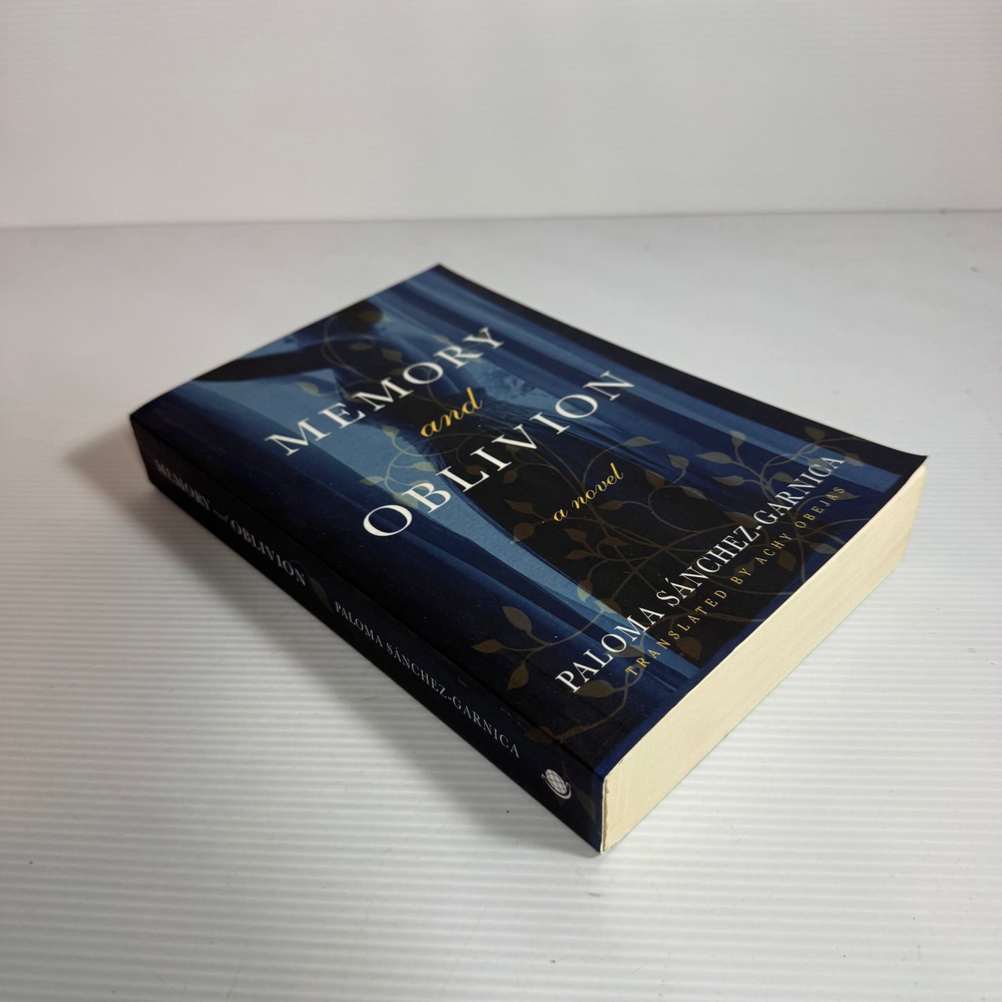 Memory and Oblivion - Paloma Sanchez-Garnica (New)