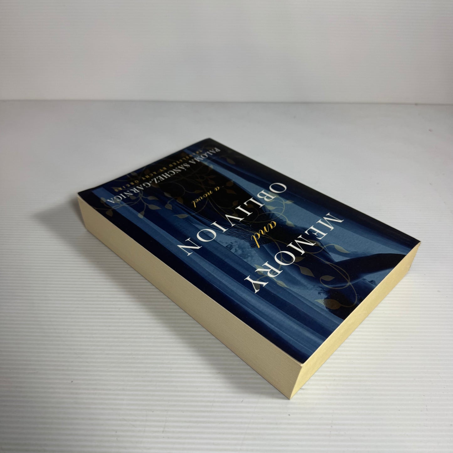 Memory and Oblivion - Paloma Sanchez-Garnica (New)