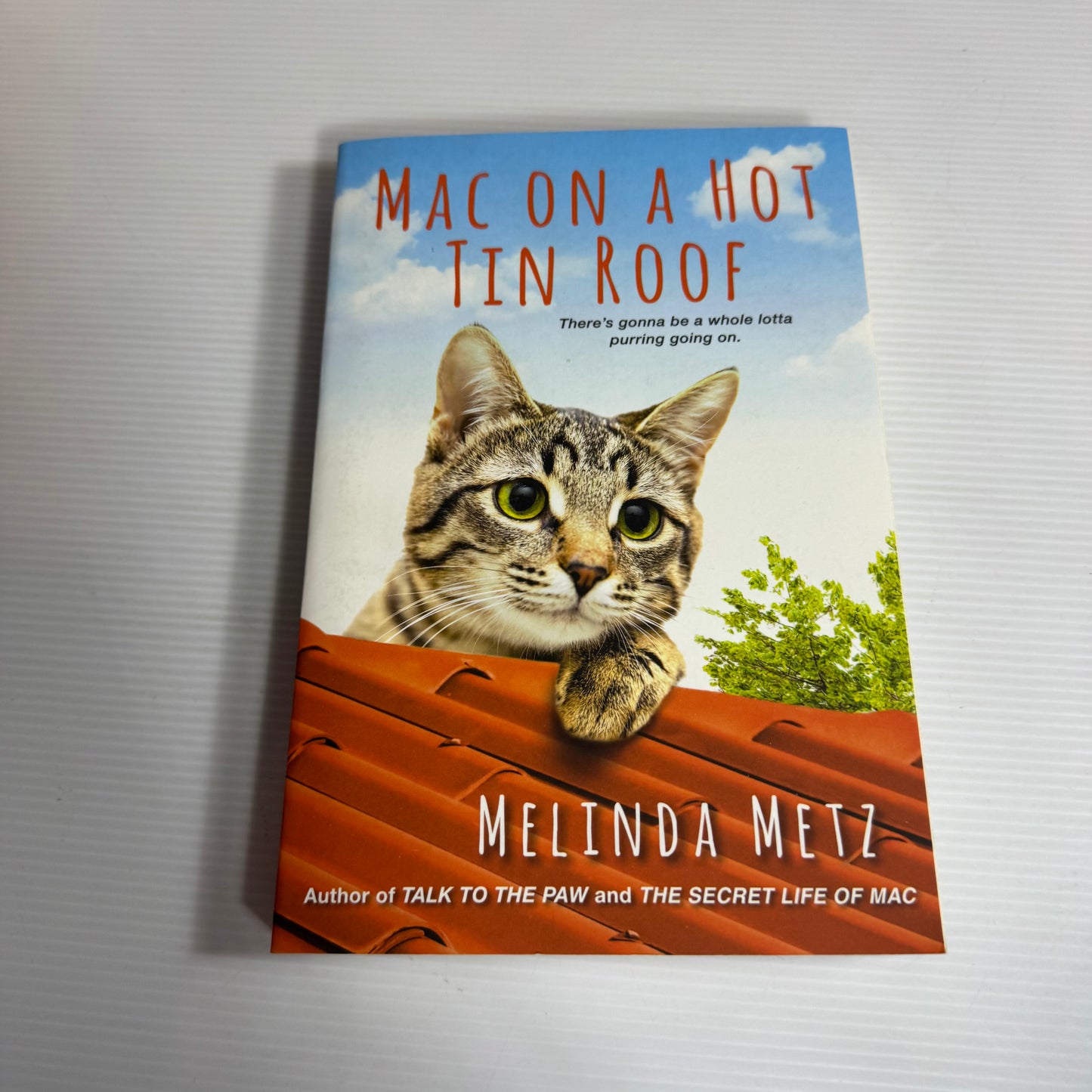 Mac On A Hot Tin Roof - Melinda Metz (New)