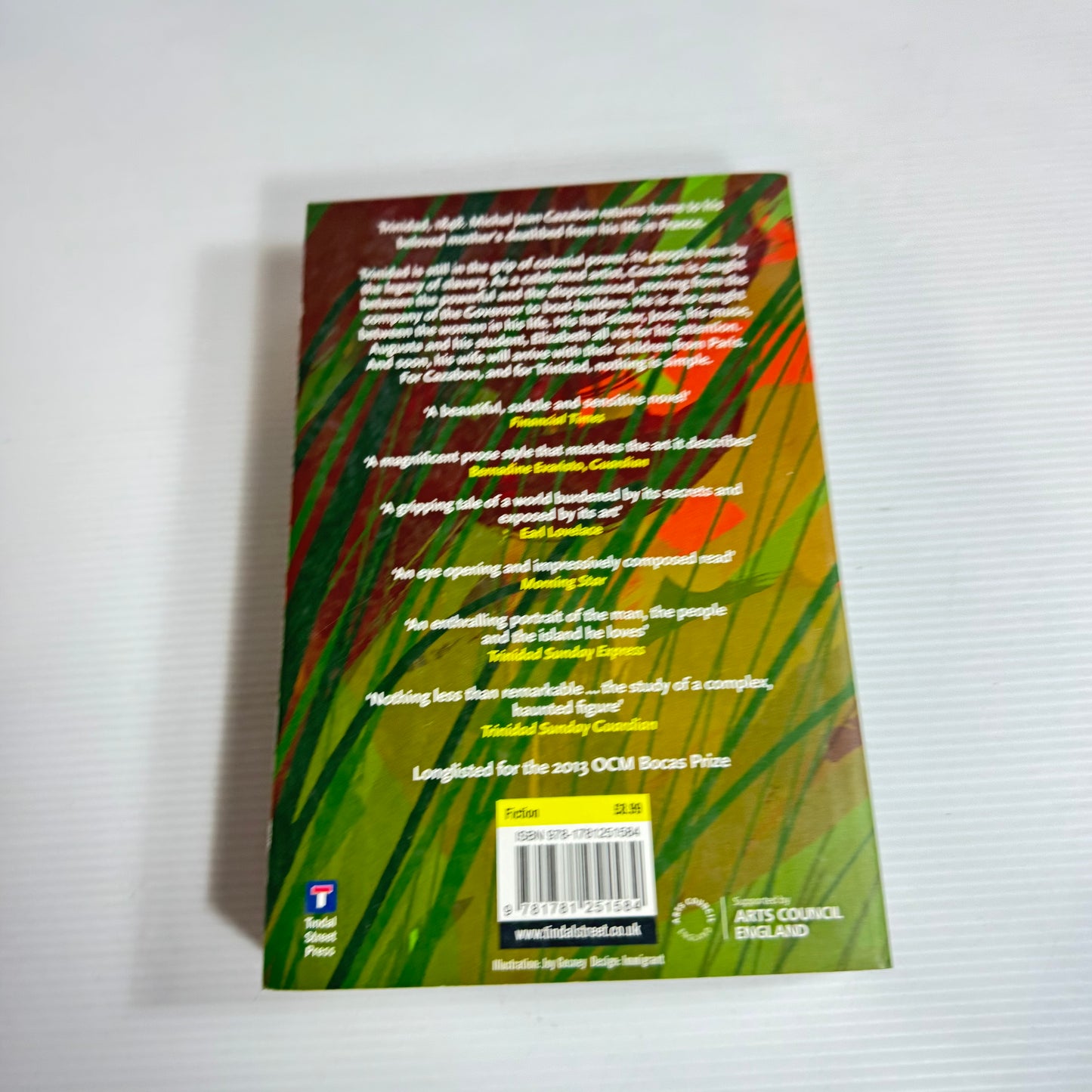 Light Falling on Bamboo - Lawrence Scott (New)