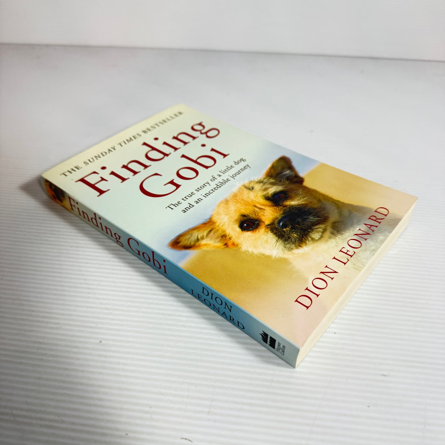 Finding Gobi : The True Story of a Little Dog and an Incredible Journey - Dion Leonard (New)