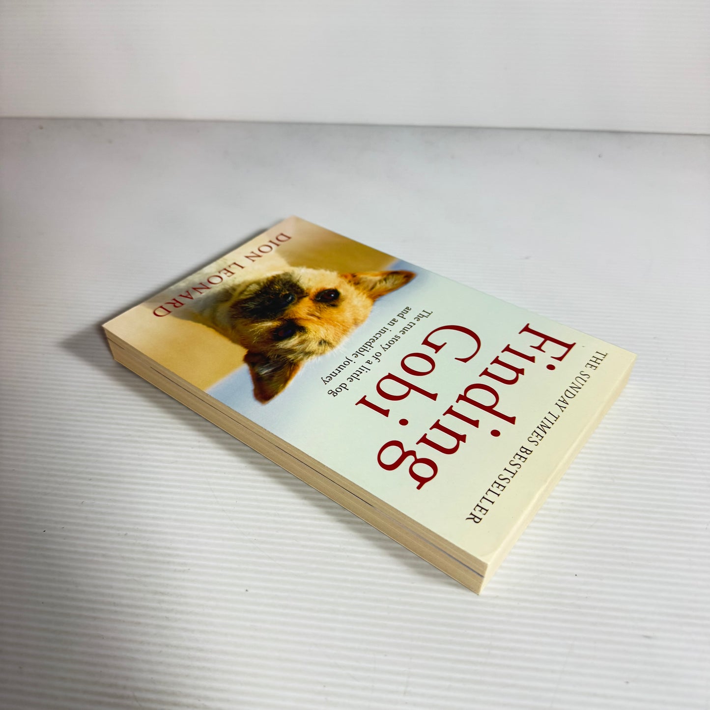 Finding Gobi : The True Story of a Little Dog and an Incredible Journey - Dion Leonard (New)