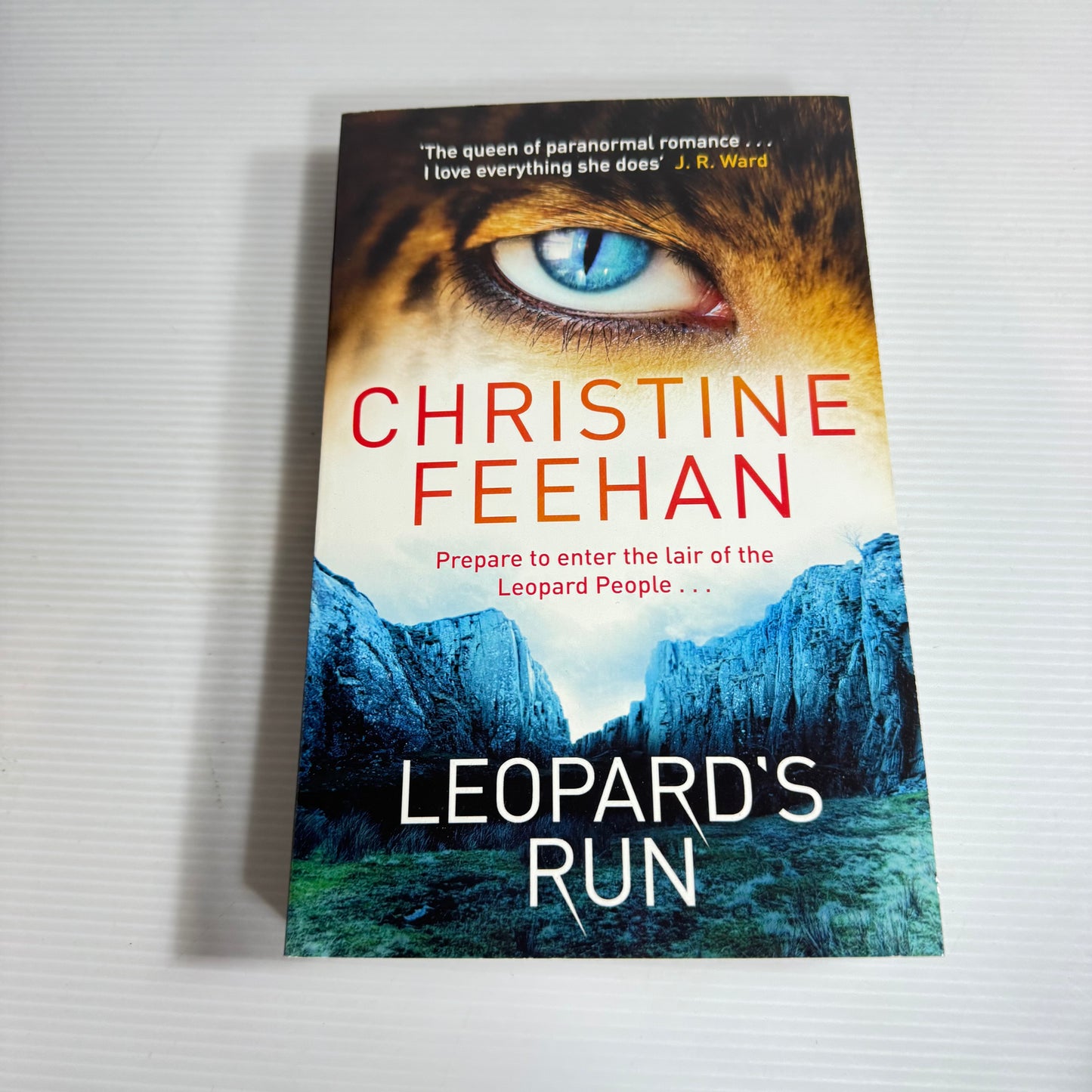 Leopard's Run - Christine Feehan (New)