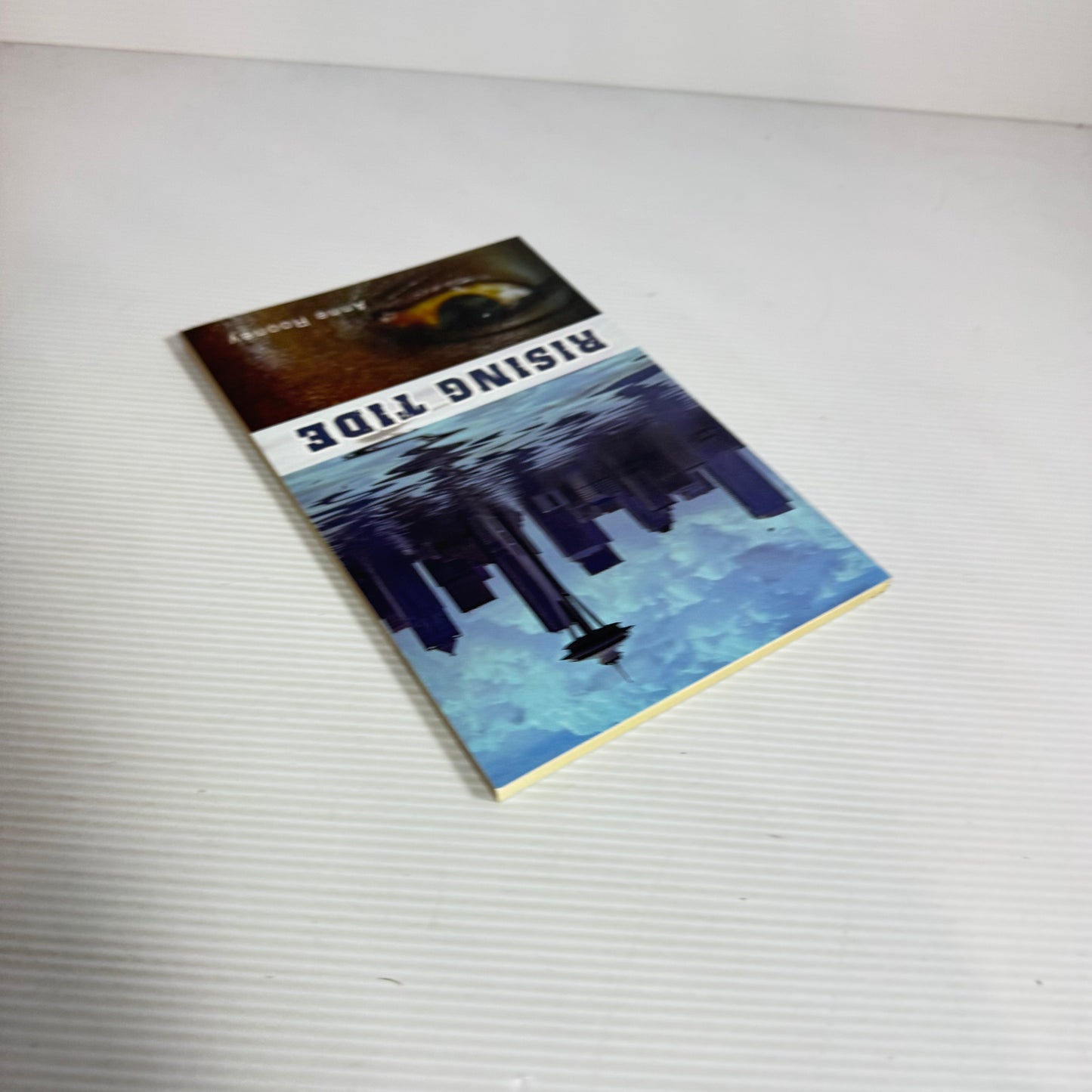 Rising Tide - Anne Rooney (New)
