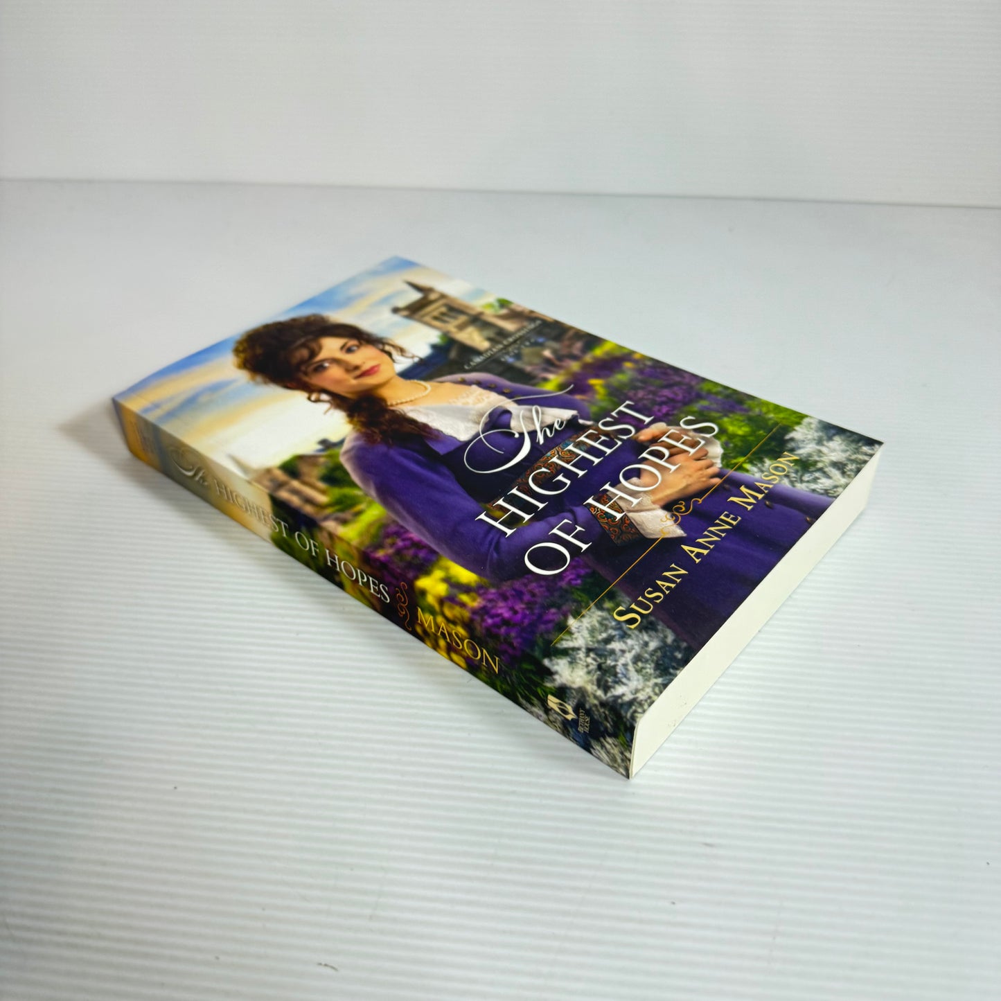 The Highest of Hopes - Susan Anne Mason (New)