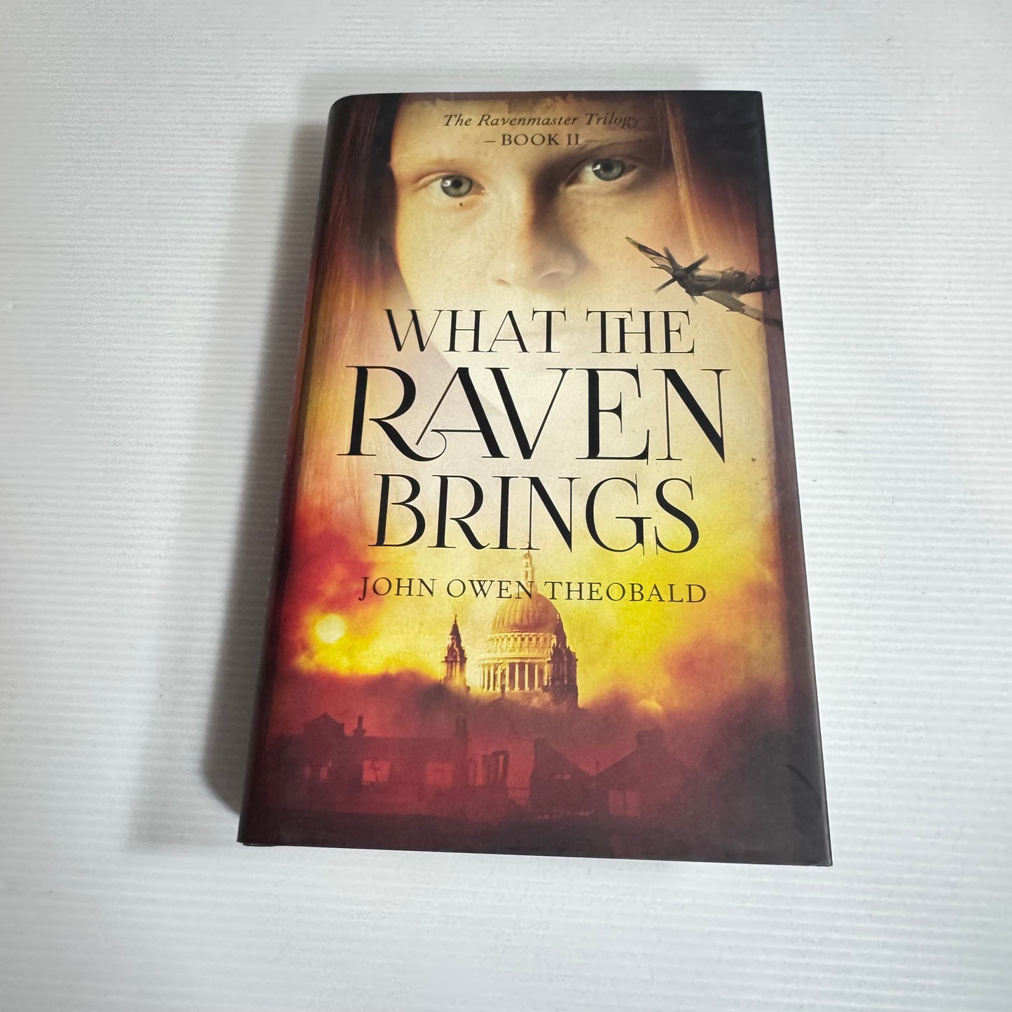 What The Raven Bring - John Owen Theobald (New)