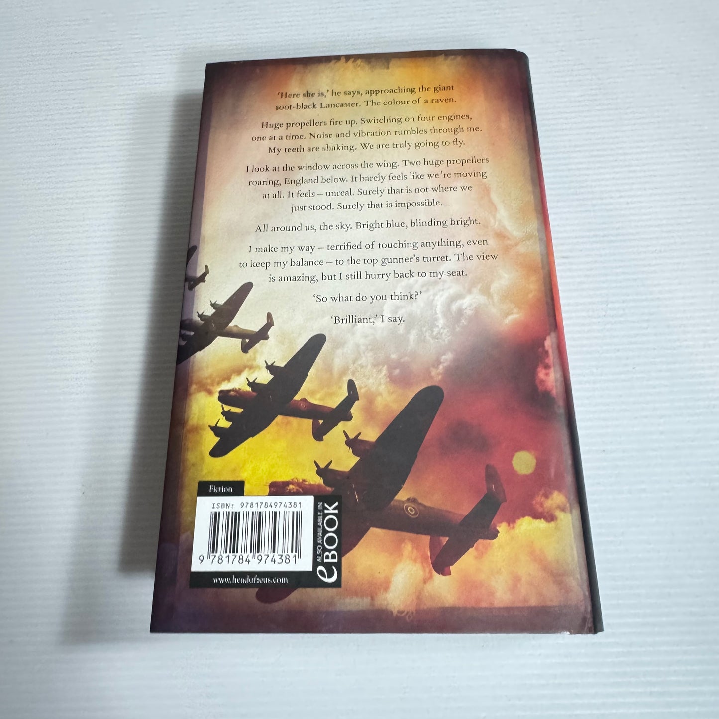 What The Raven Bring - John Owen Theobald (New)