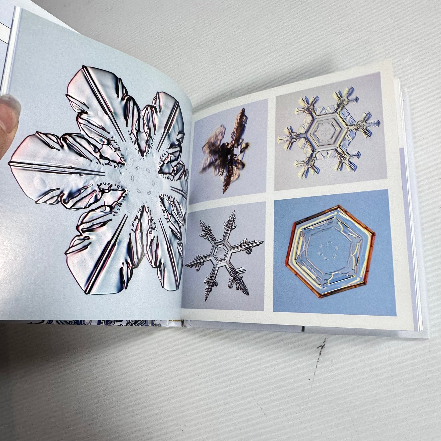 The Little Book of Snowflakes - Kenneth Libbrecht (New)