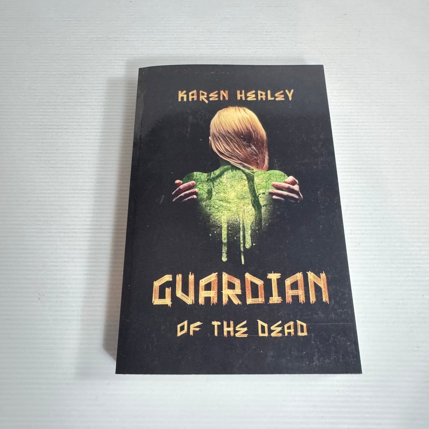 Guardian Of The Dead - Karen Healey (new)