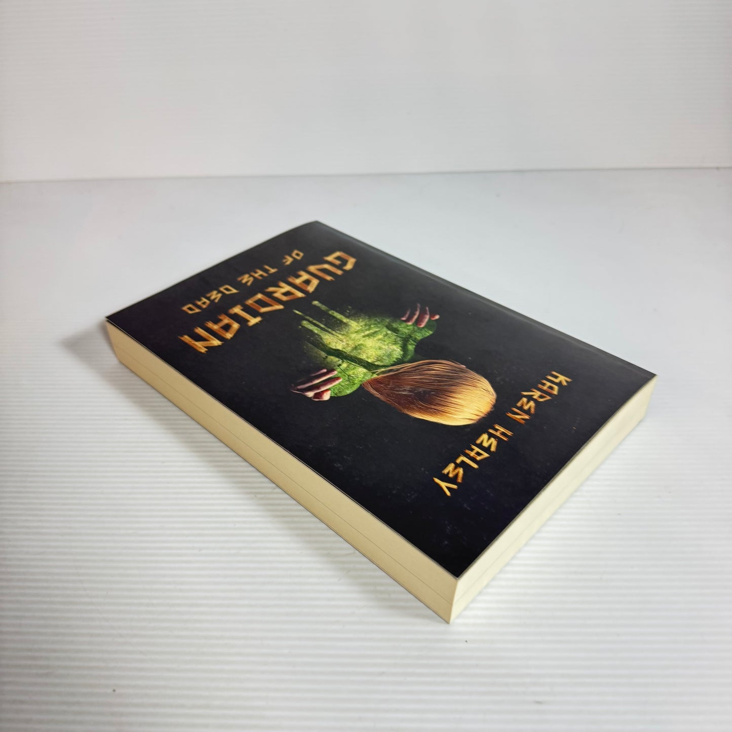 Guardian Of The Dead - Karen Healey (new)