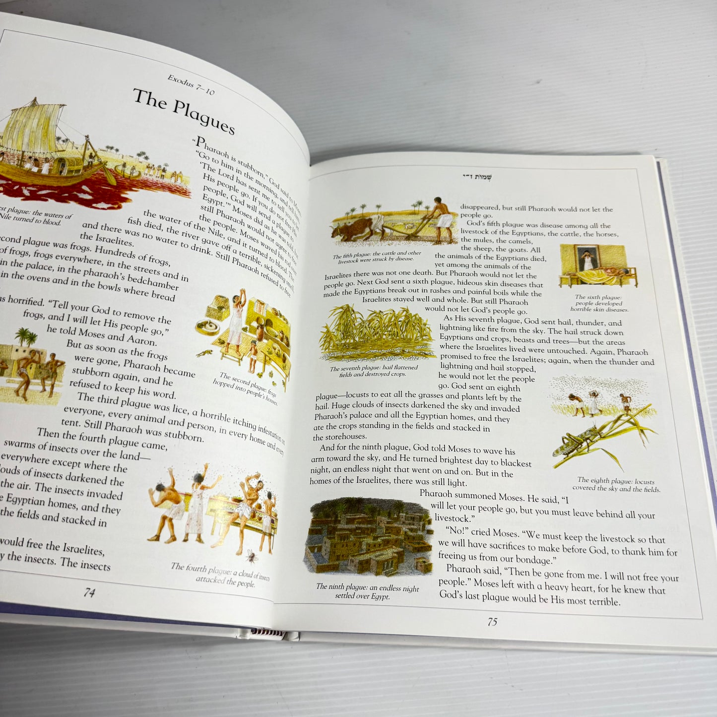 The Children's Illustrated Jewish Bible (New)