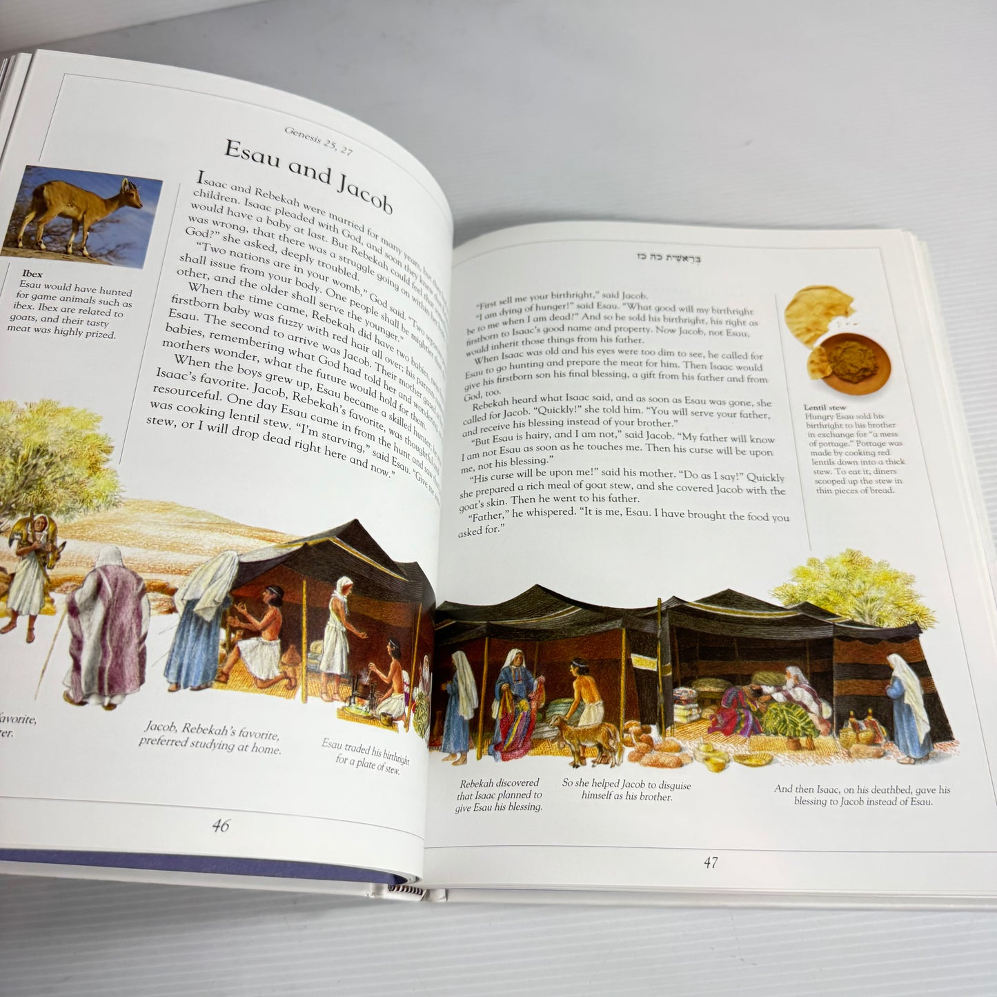 The Children's Illustrated Jewish Bible (New)