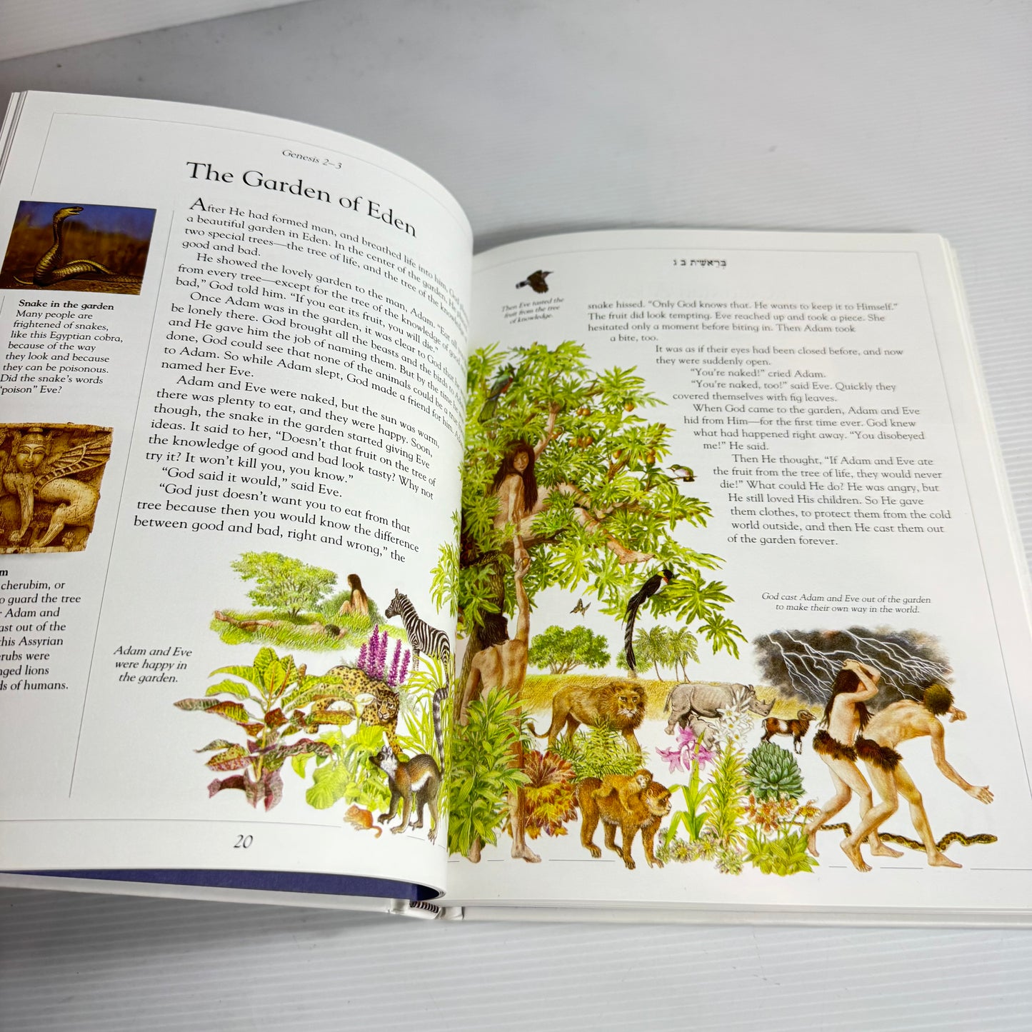 The Children's Illustrated Jewish Bible (New)